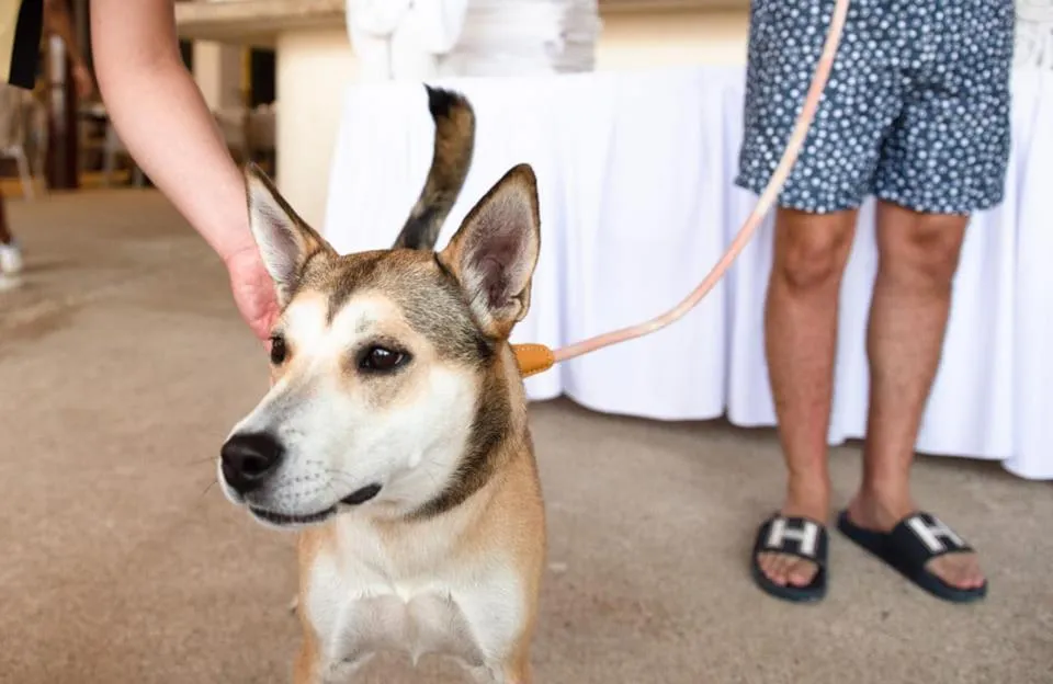 Mishol Bodas Hotel & Beach Club Acapulco Diamante