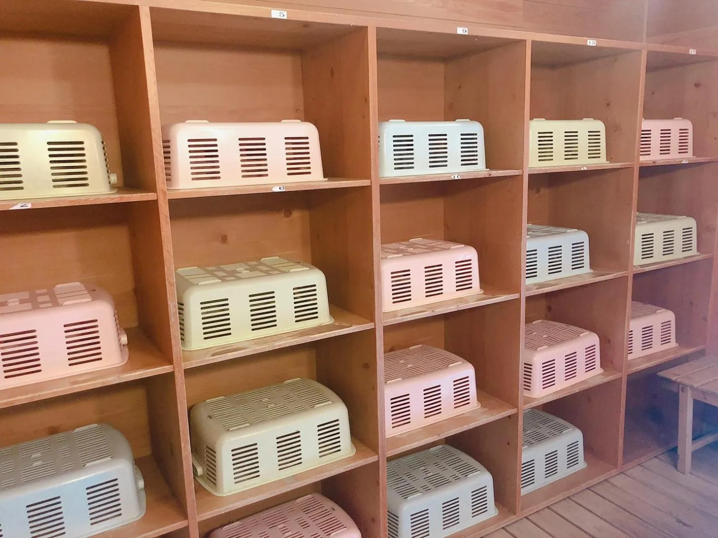 Hot Spring Bath in Hotel New Ohruri