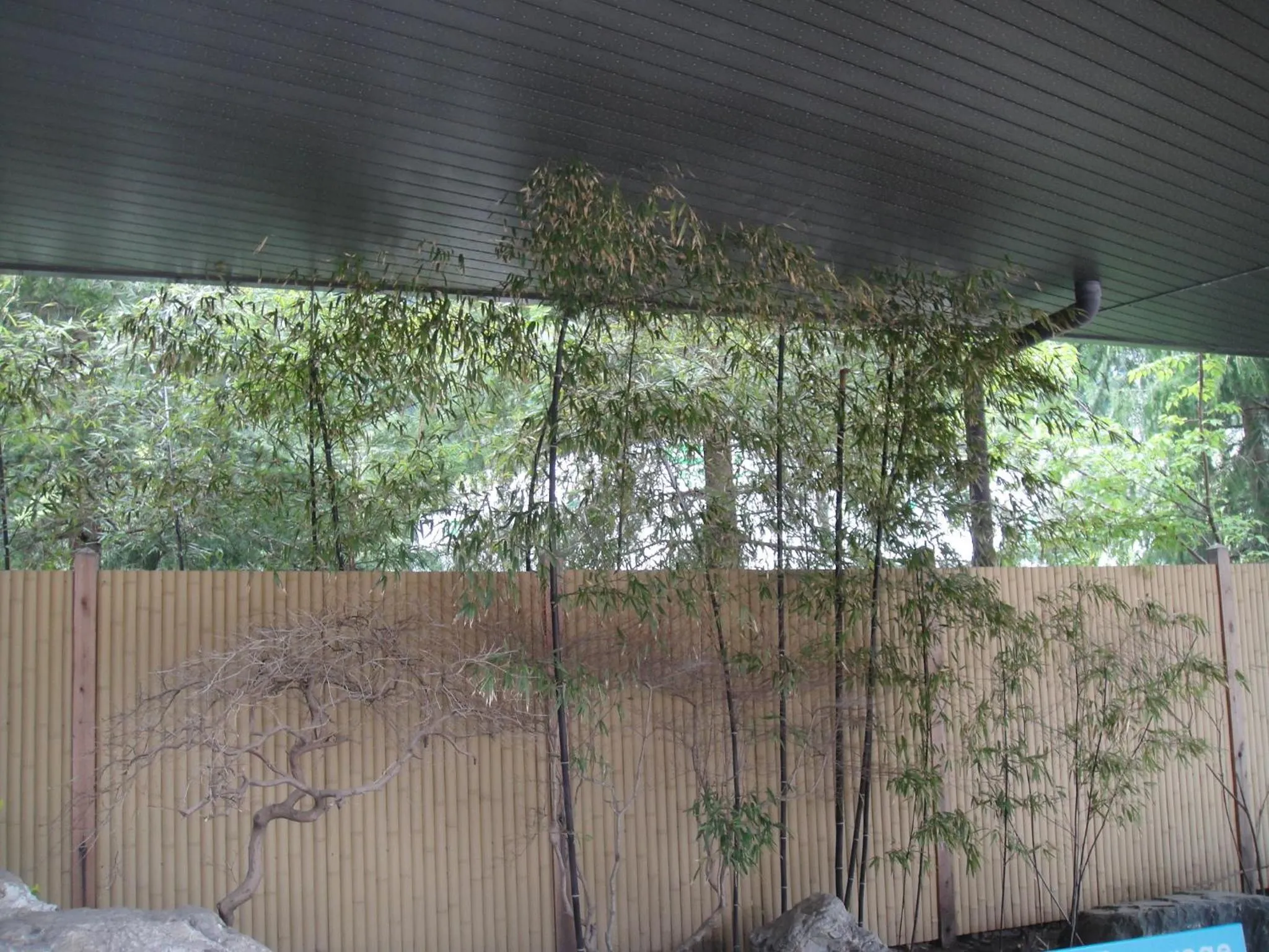 Decorative detail in Hotel New Ohruri