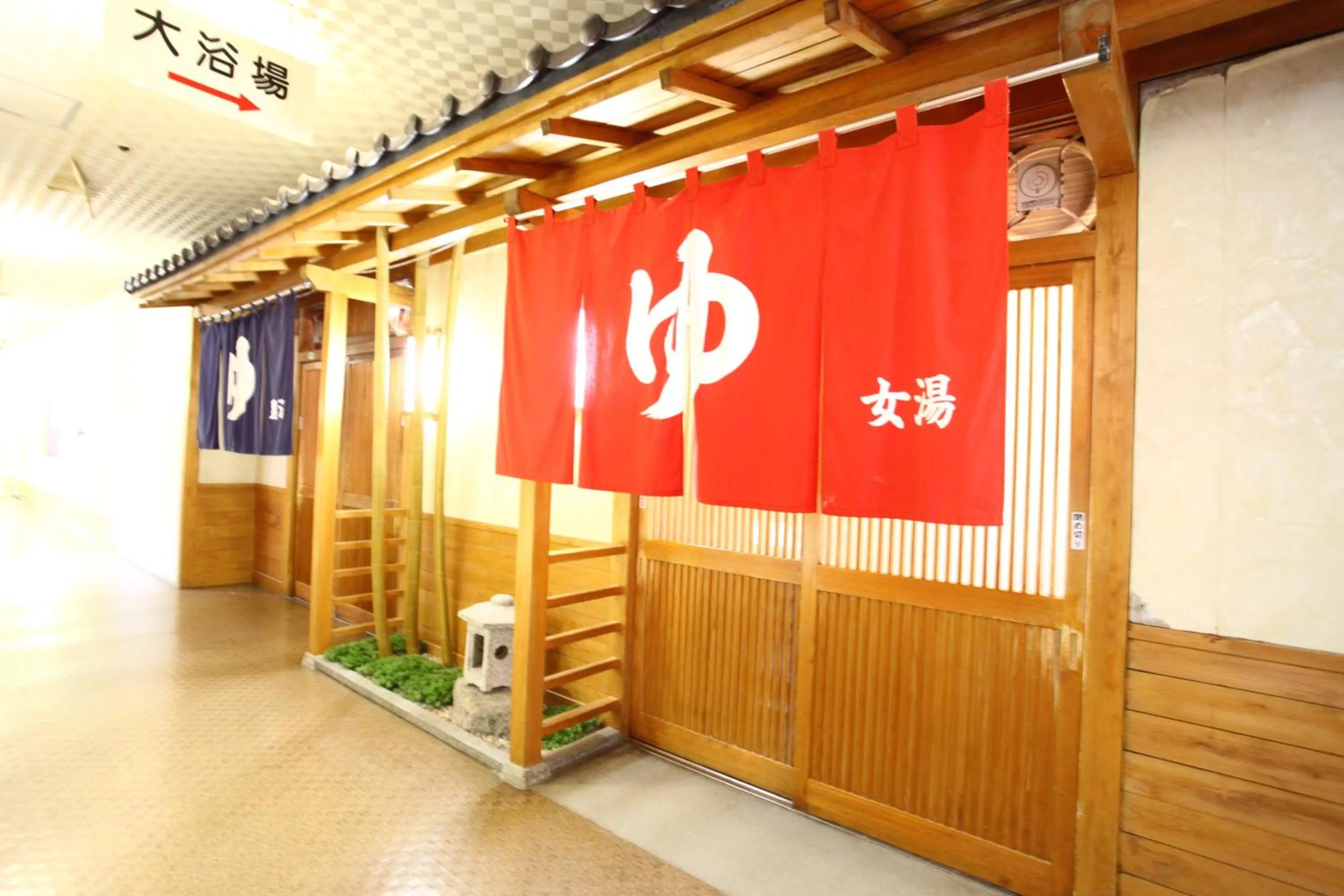 Hot Spring Bath in Hotel New Ohruri