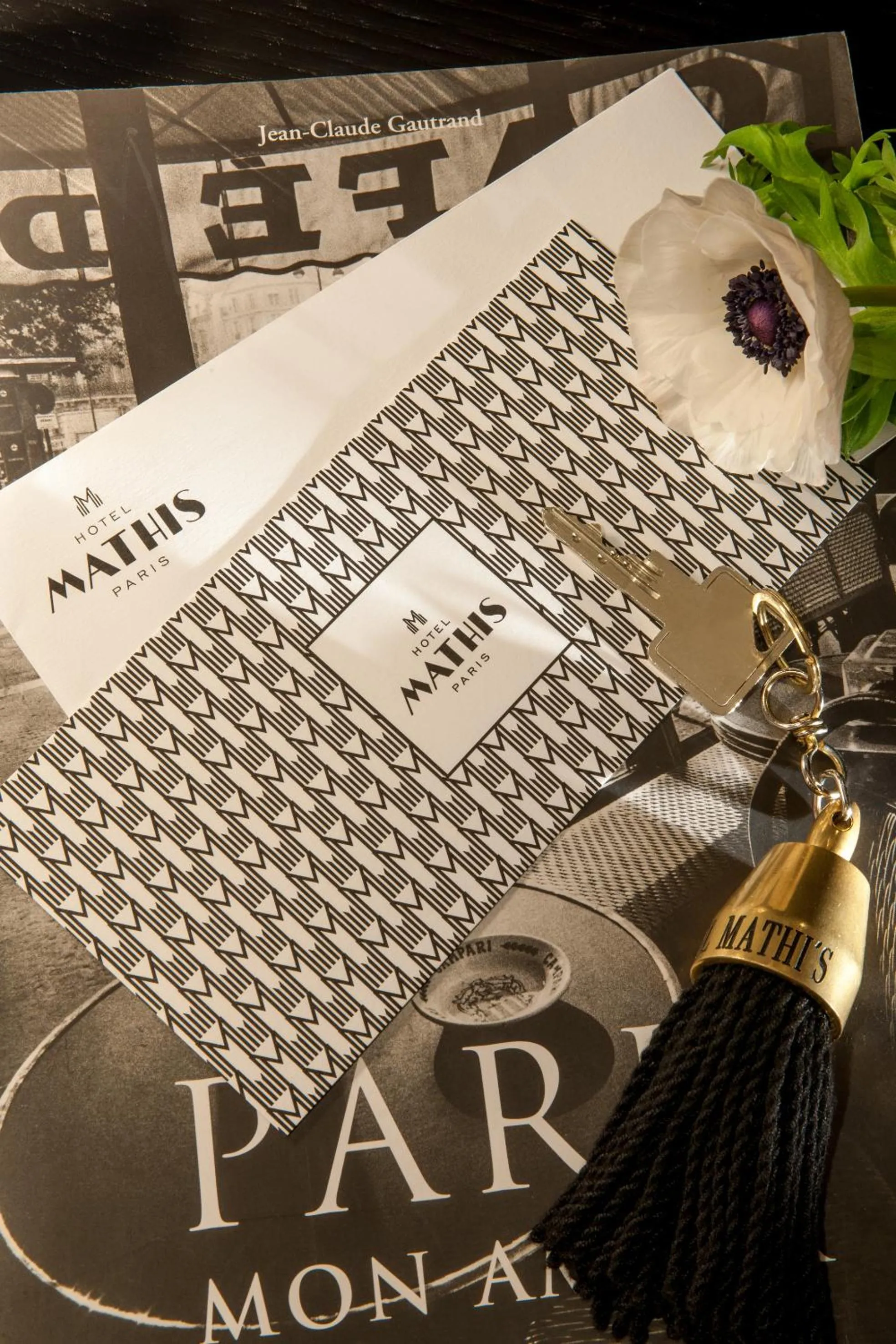 Decorative detail in Hôtel Mathis Elysées