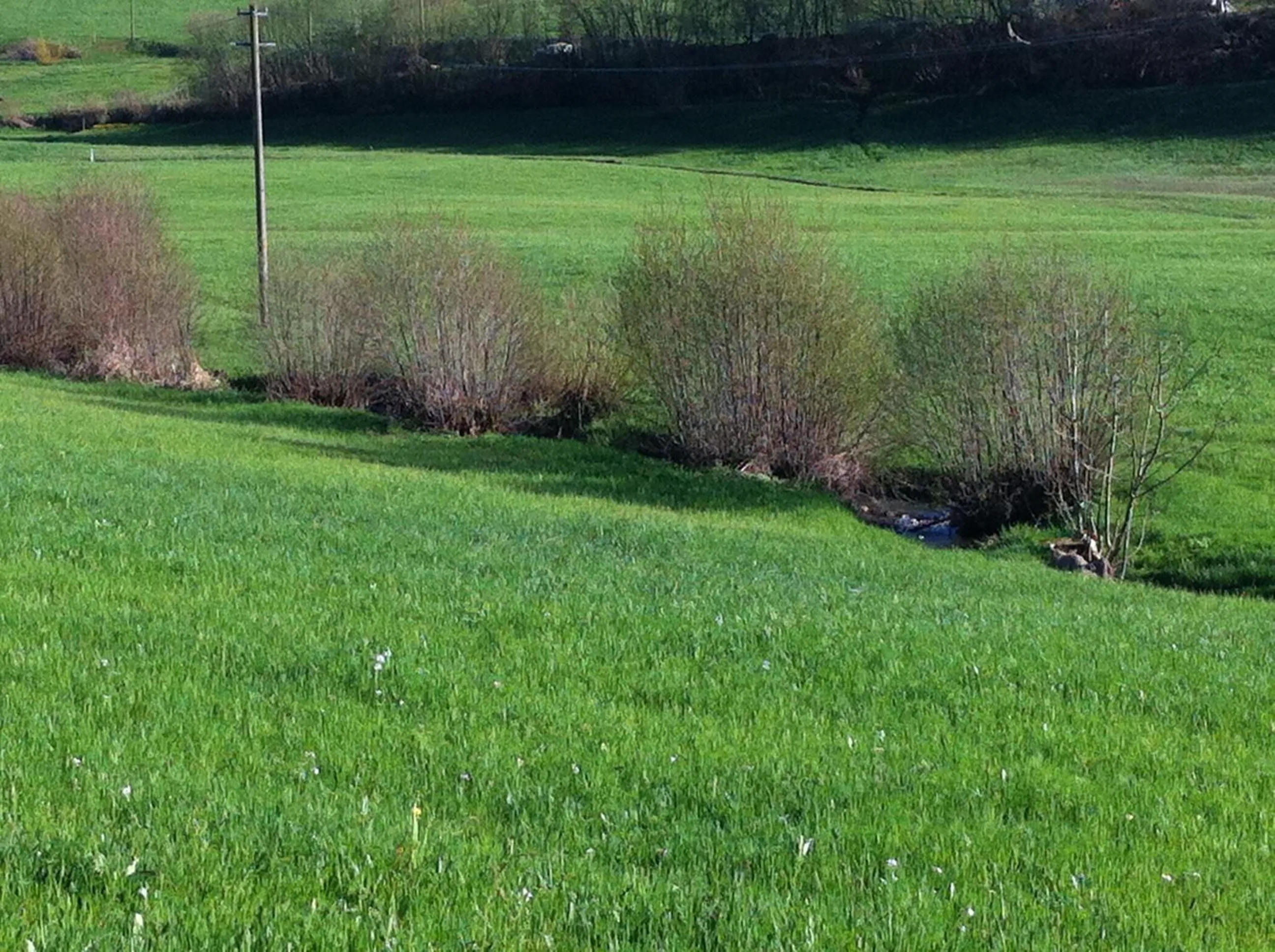 Day in Gasthof Richebächli