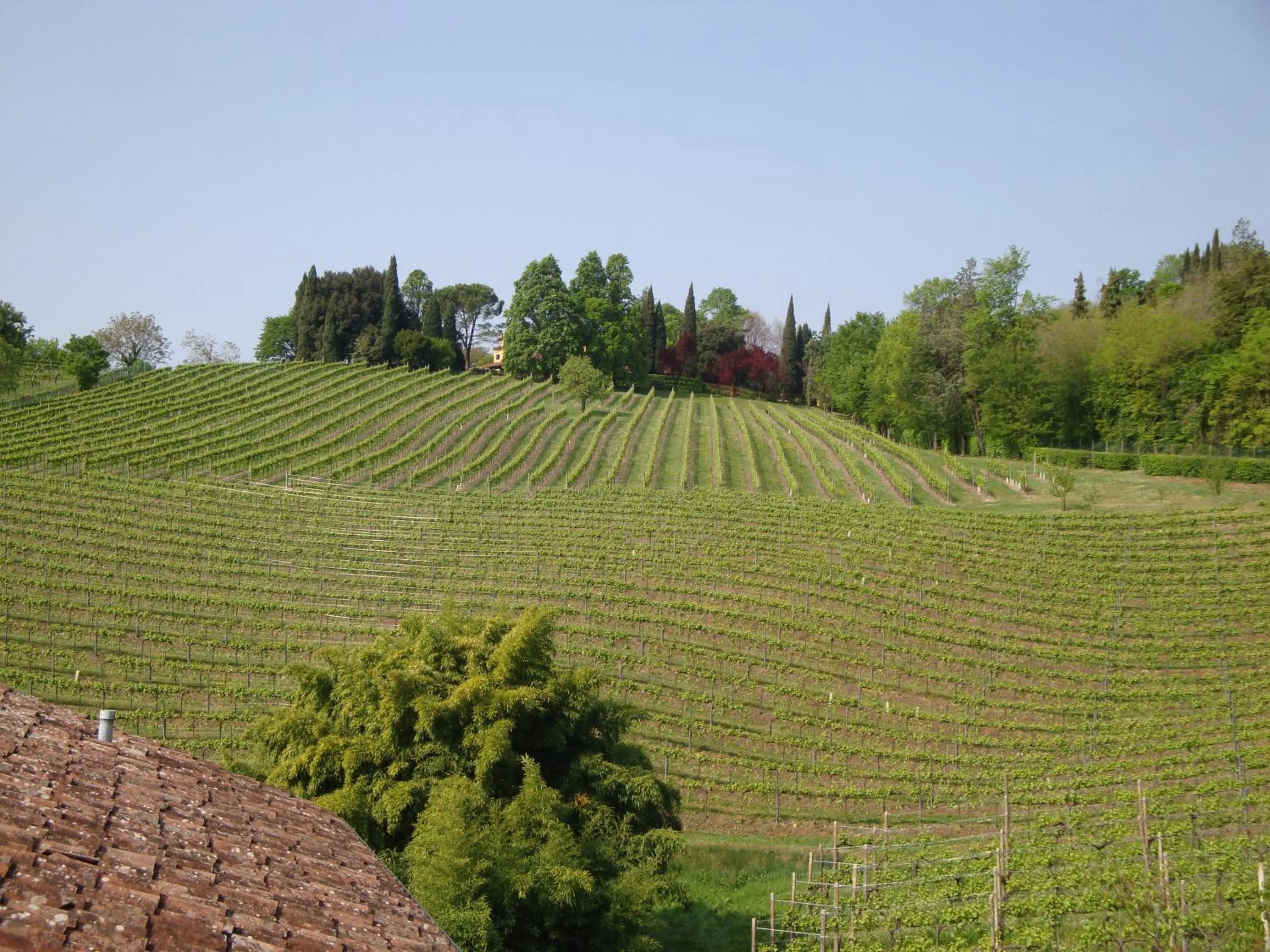 Spring in Sporting Hotel Ragno D'oro