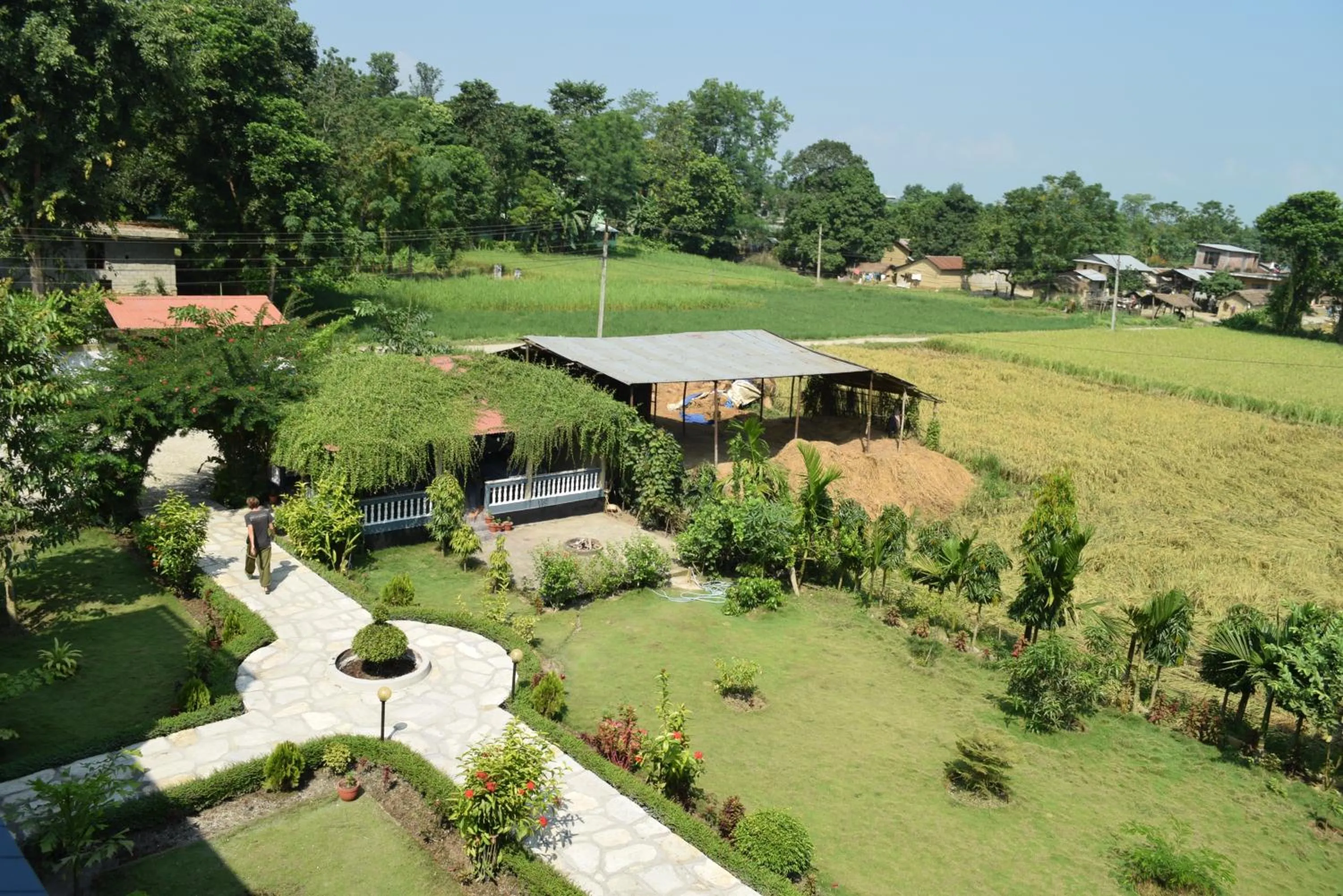 Day in Chitwan Village Resort