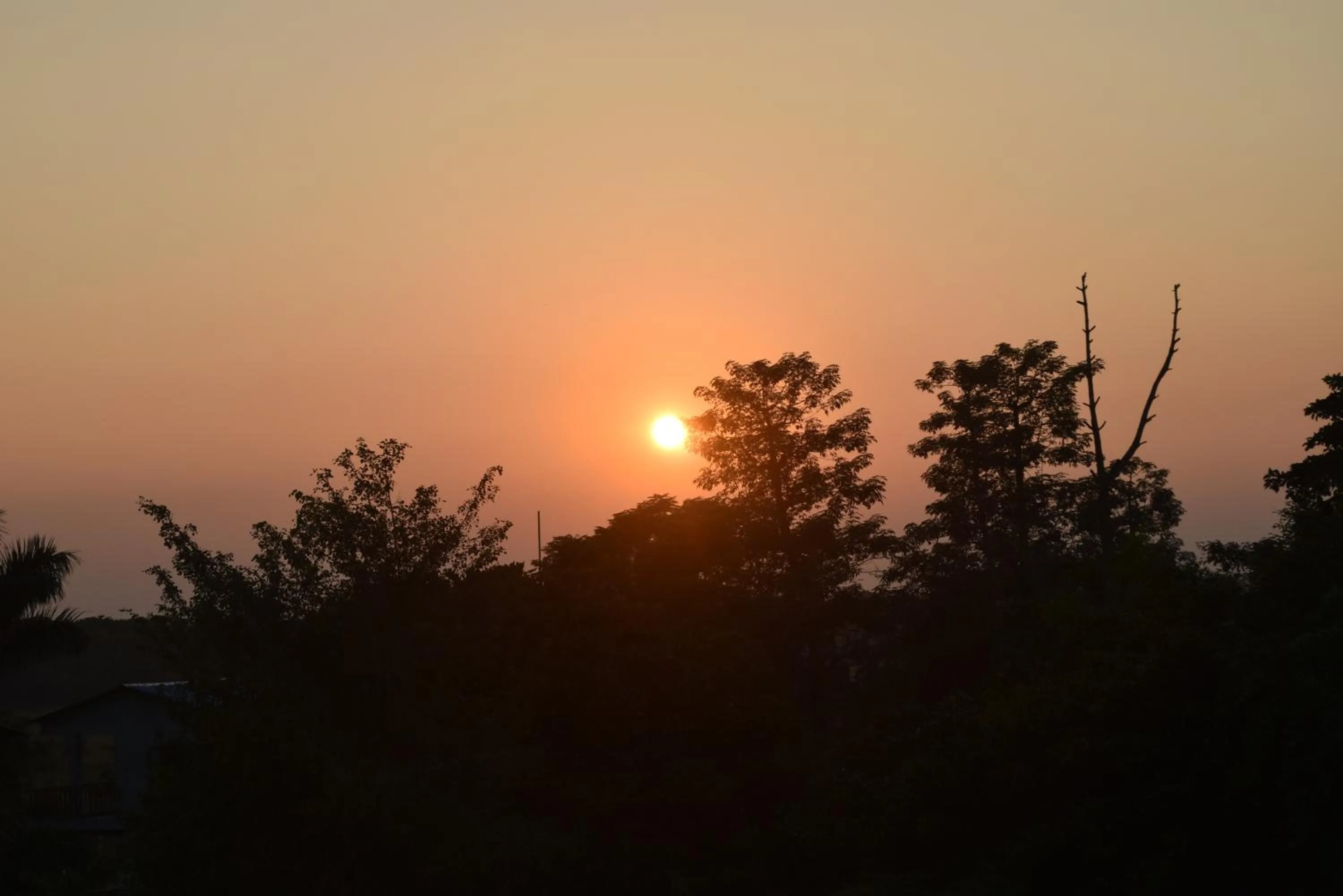 View (from property/room) in Chitwan Village Resort