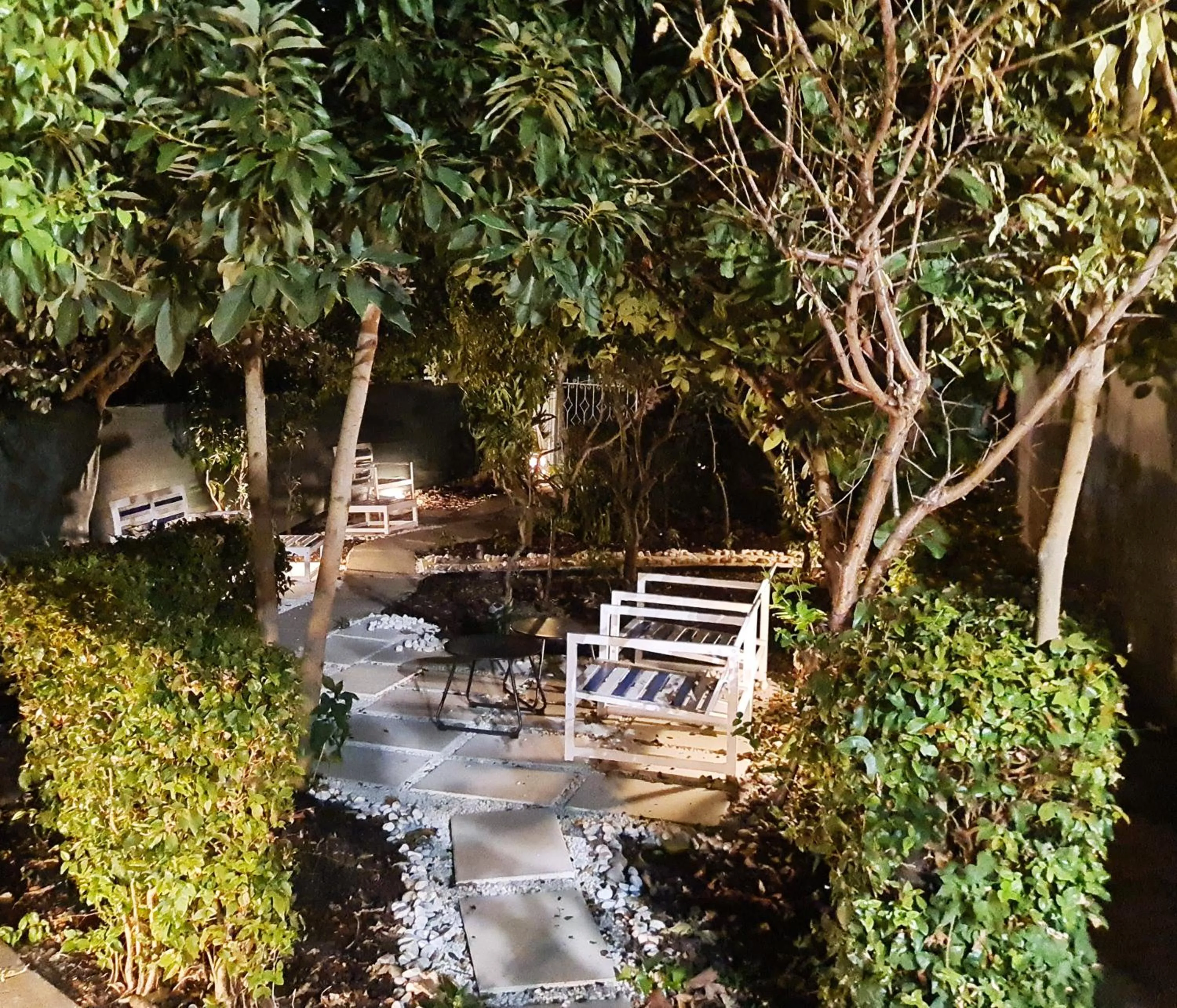 Garden in Hotel Alcaide