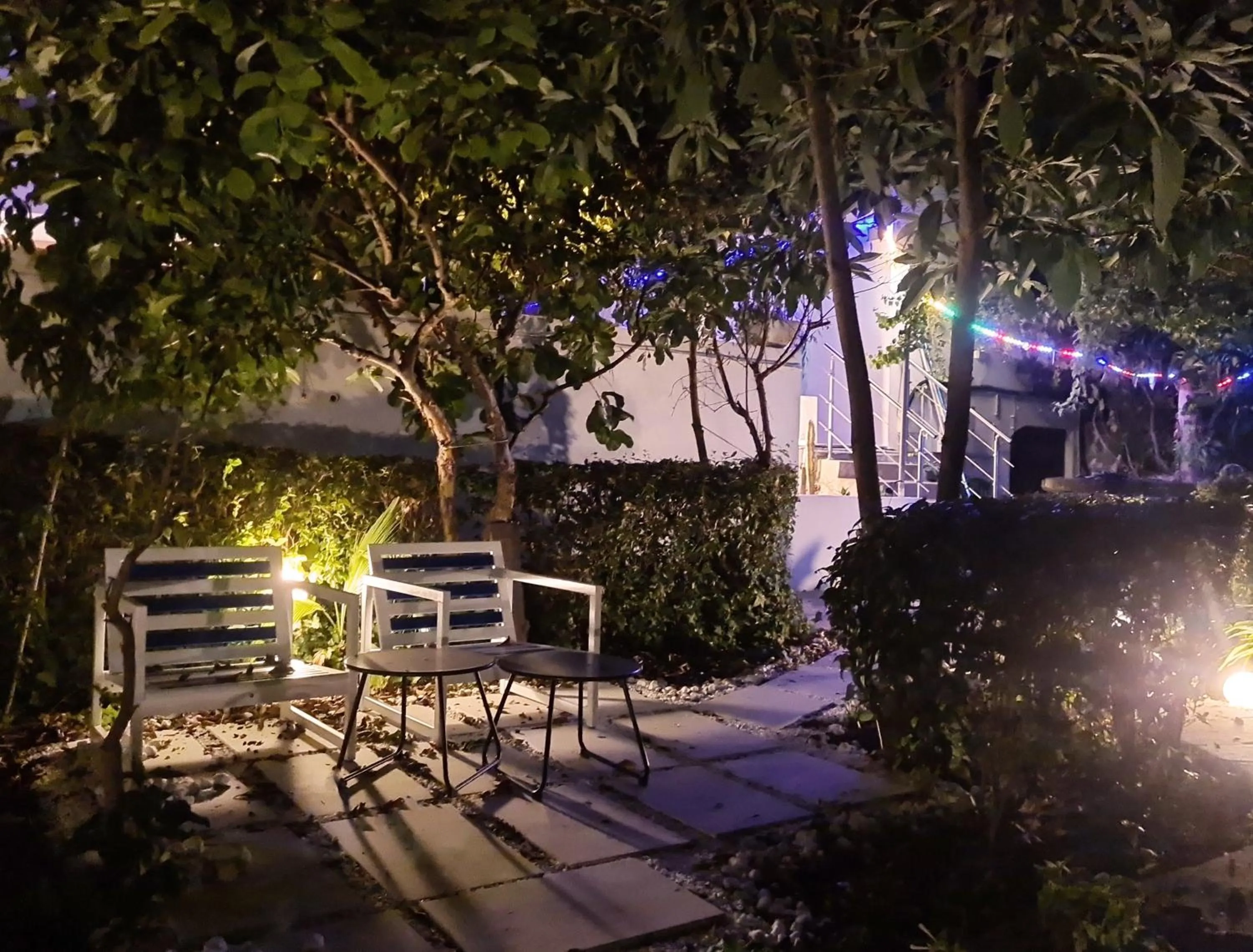 Garden in Hotel Alcaide