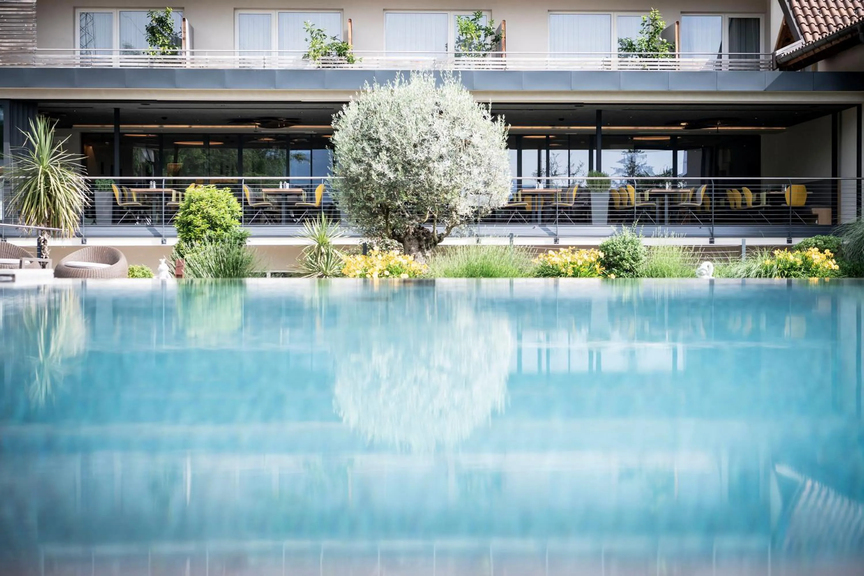 Restaurant/places to eat in Hotel Pfeiss