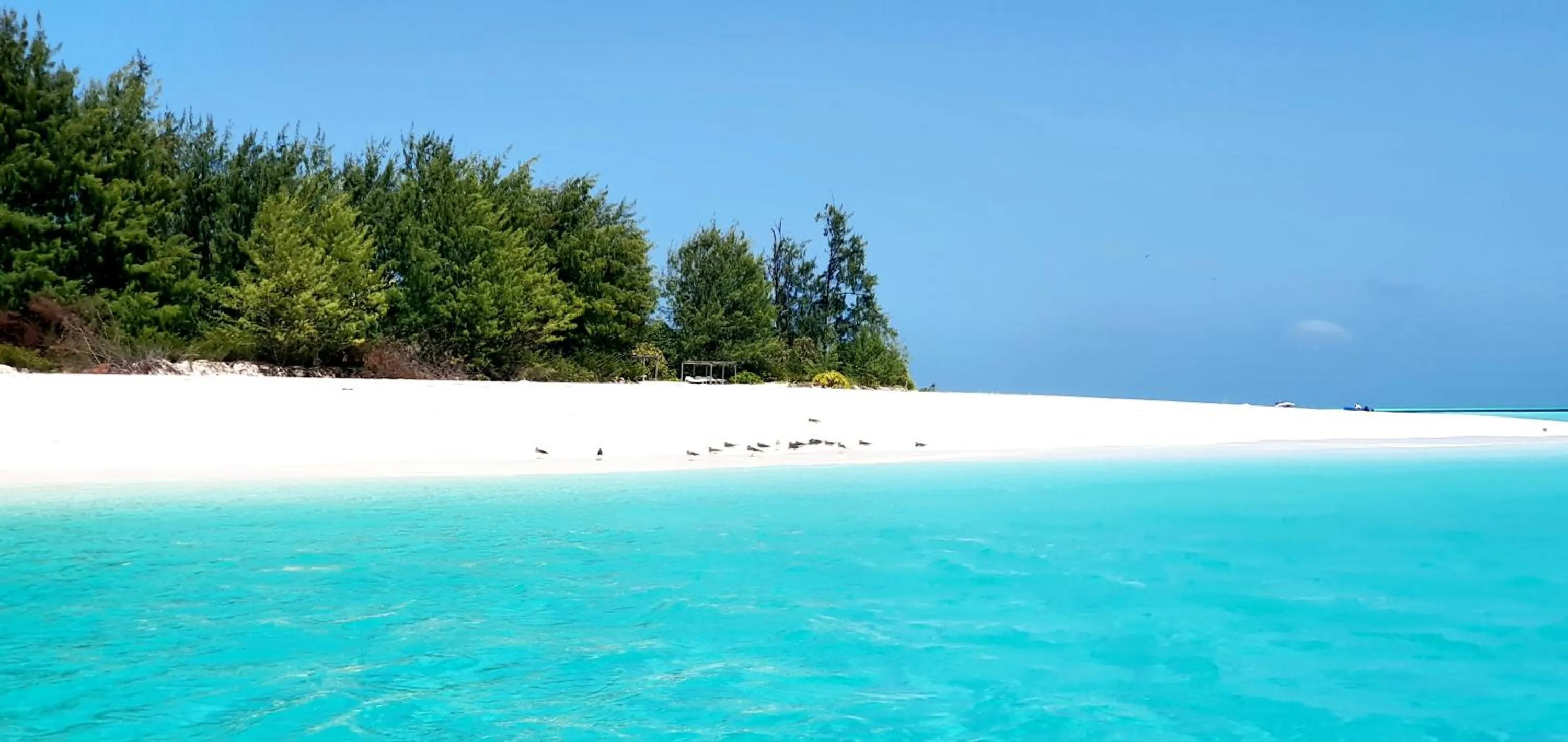 ARYA Boutique Resort