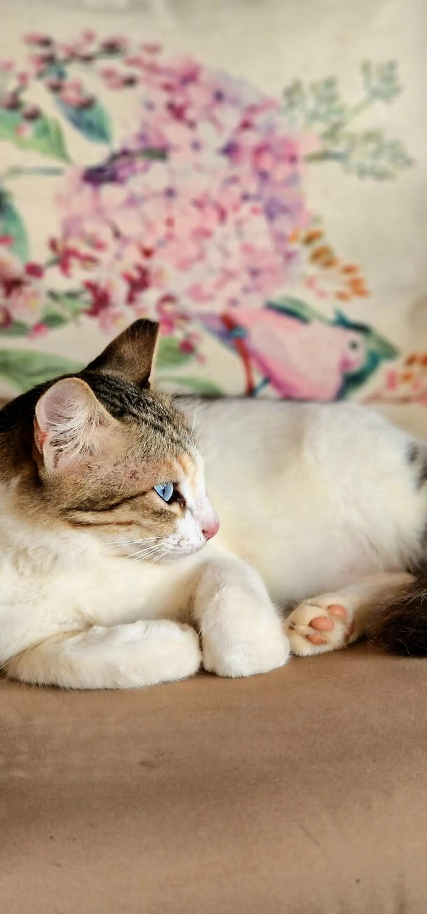 ARYA Boutique Resort