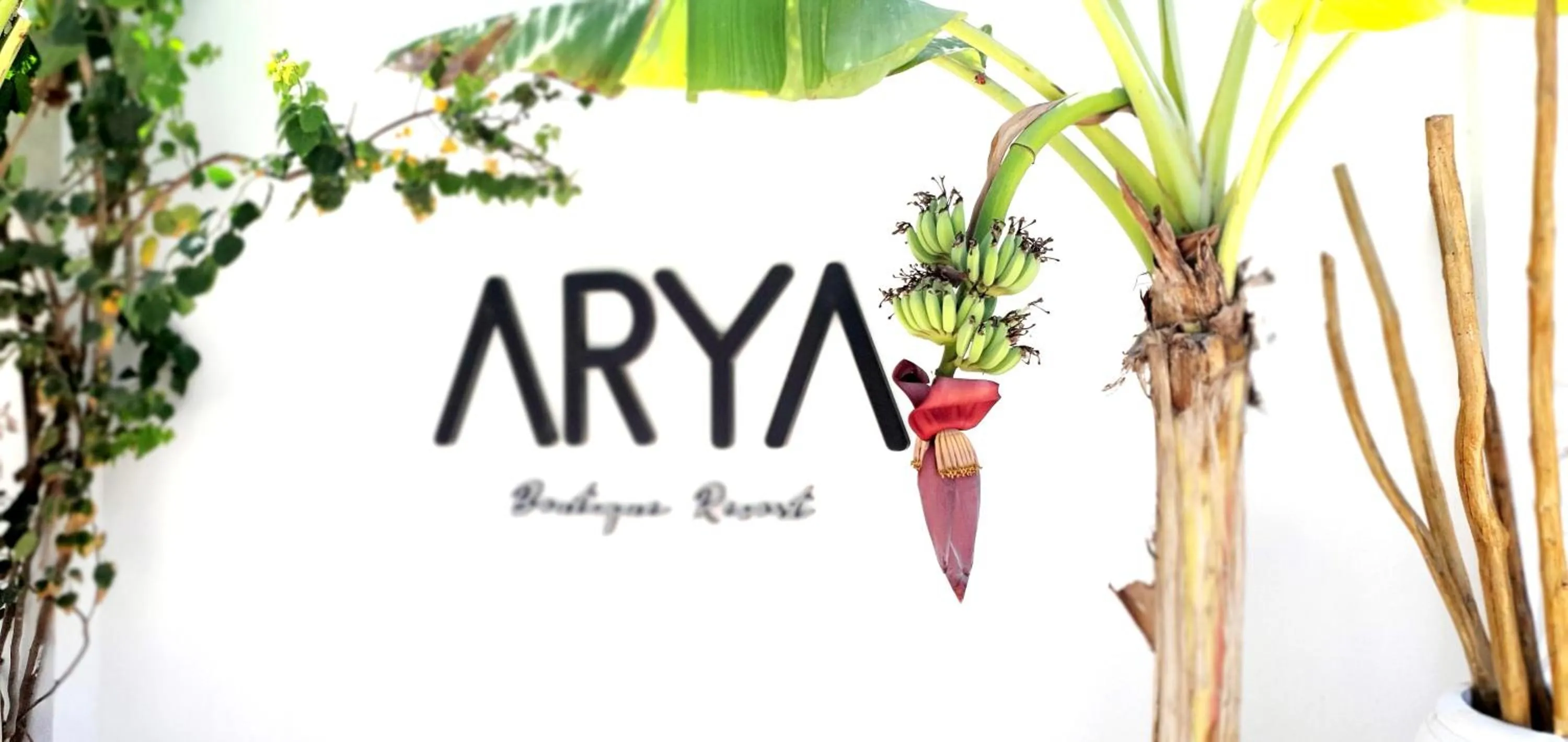ARYA Boutique Resort
