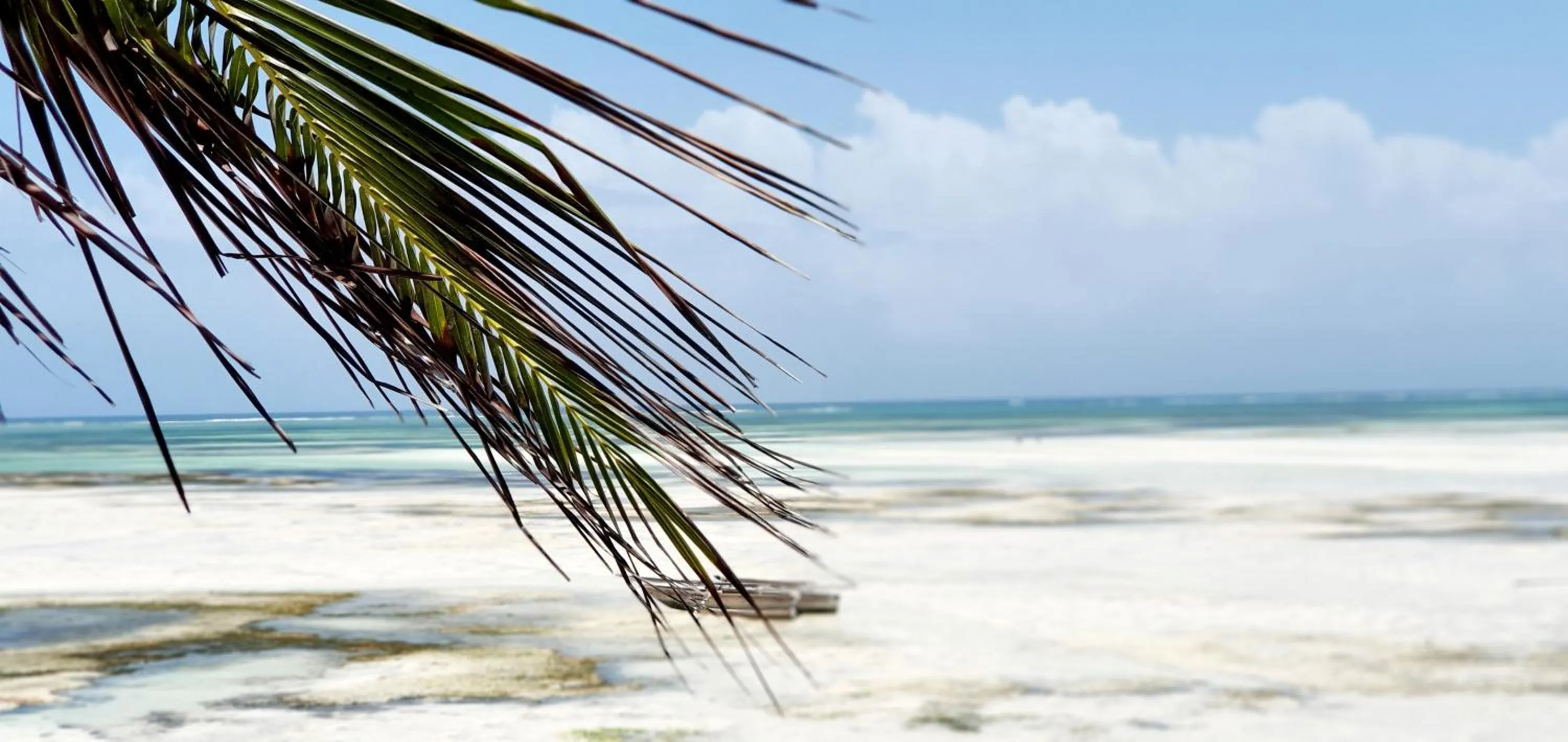 ARYA Boutique Resort