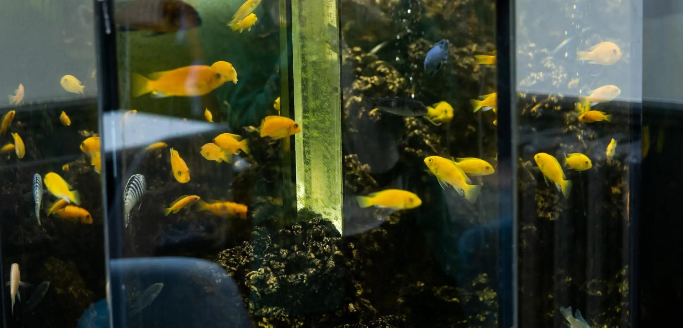 Lounge or bar in Hotel De L'univers