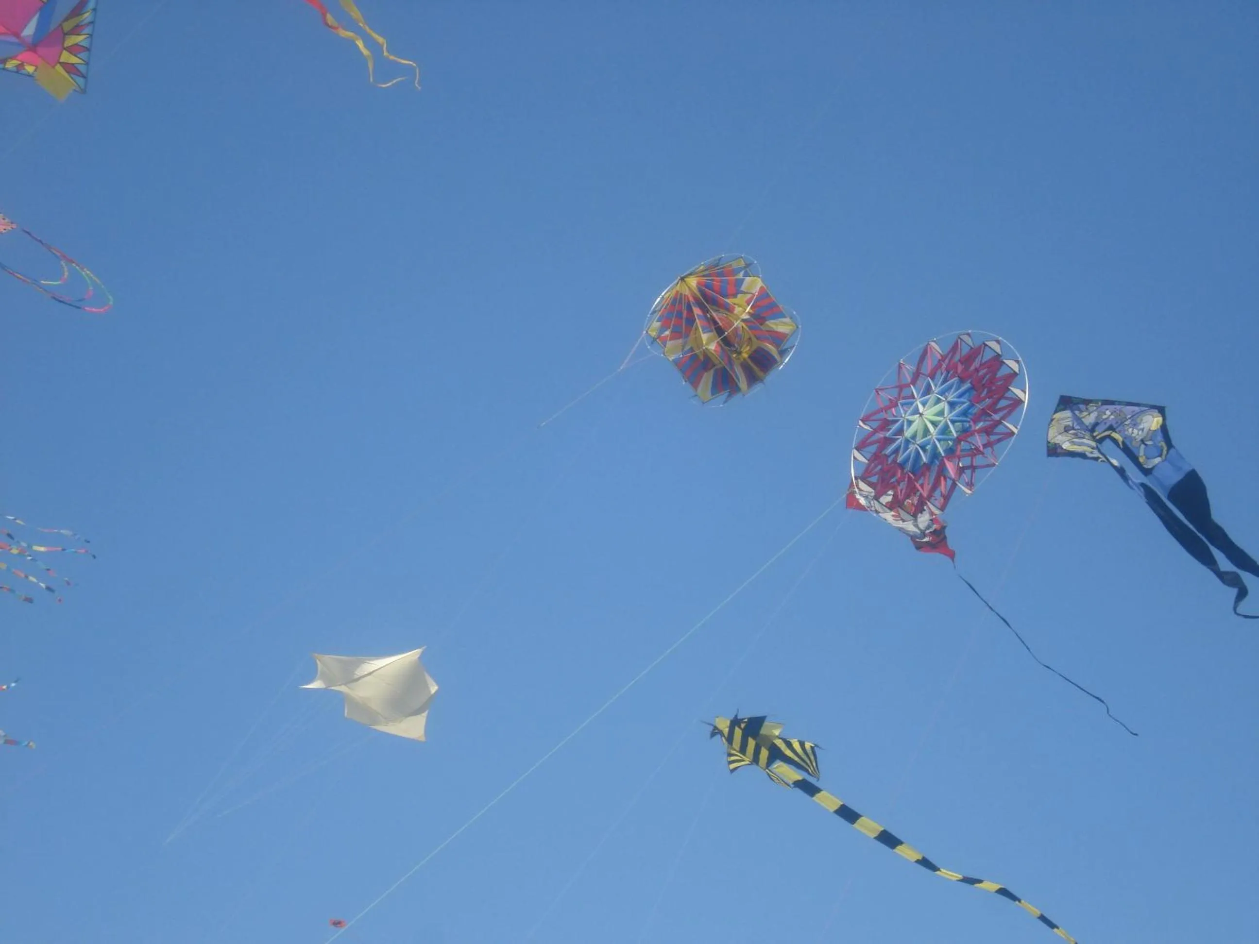 Entertainment in La LUNA of MARSEILLE - VILLA D'ARCHITECTE B&B