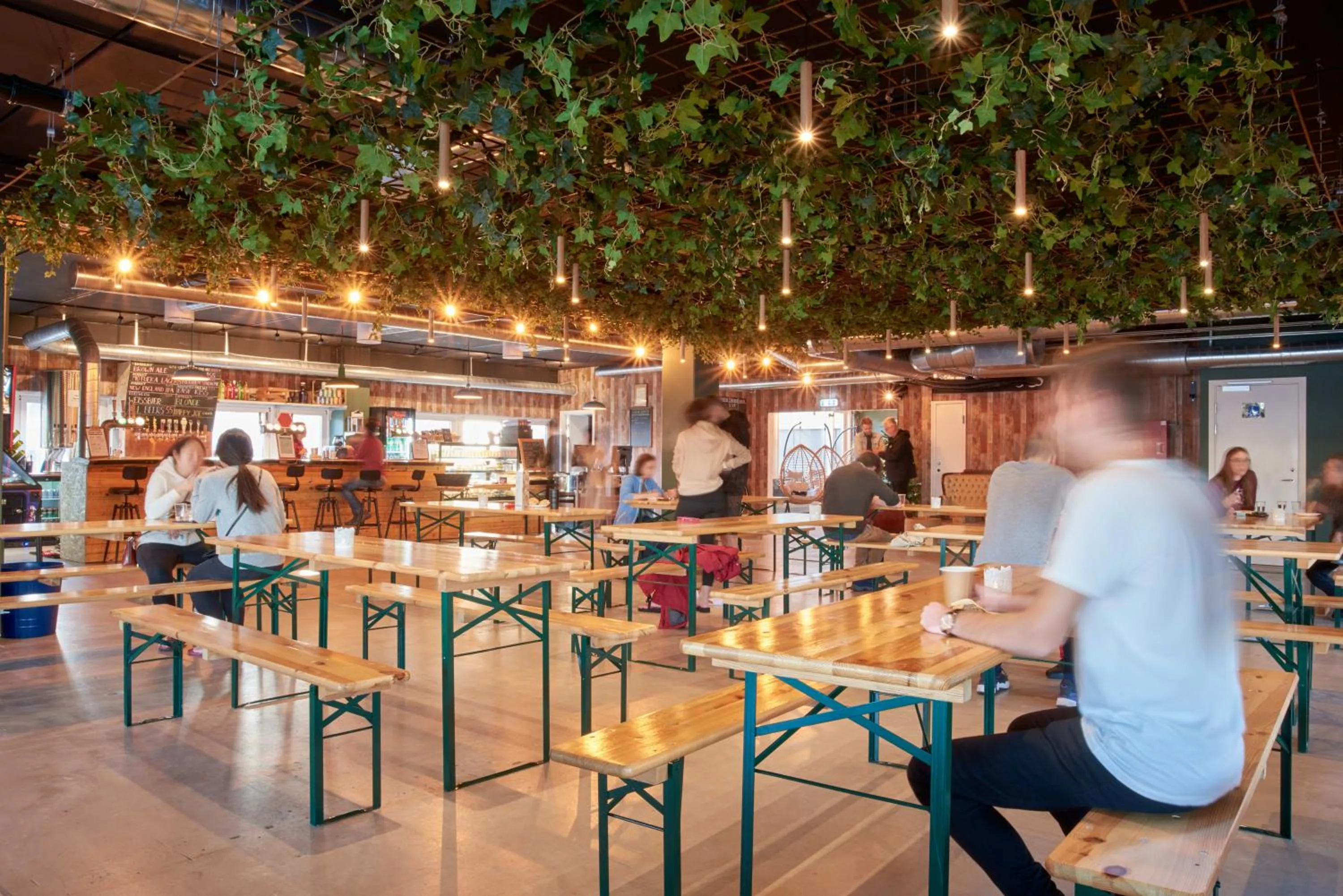 Lounge or bar in Urban Camper Hostel & Bar