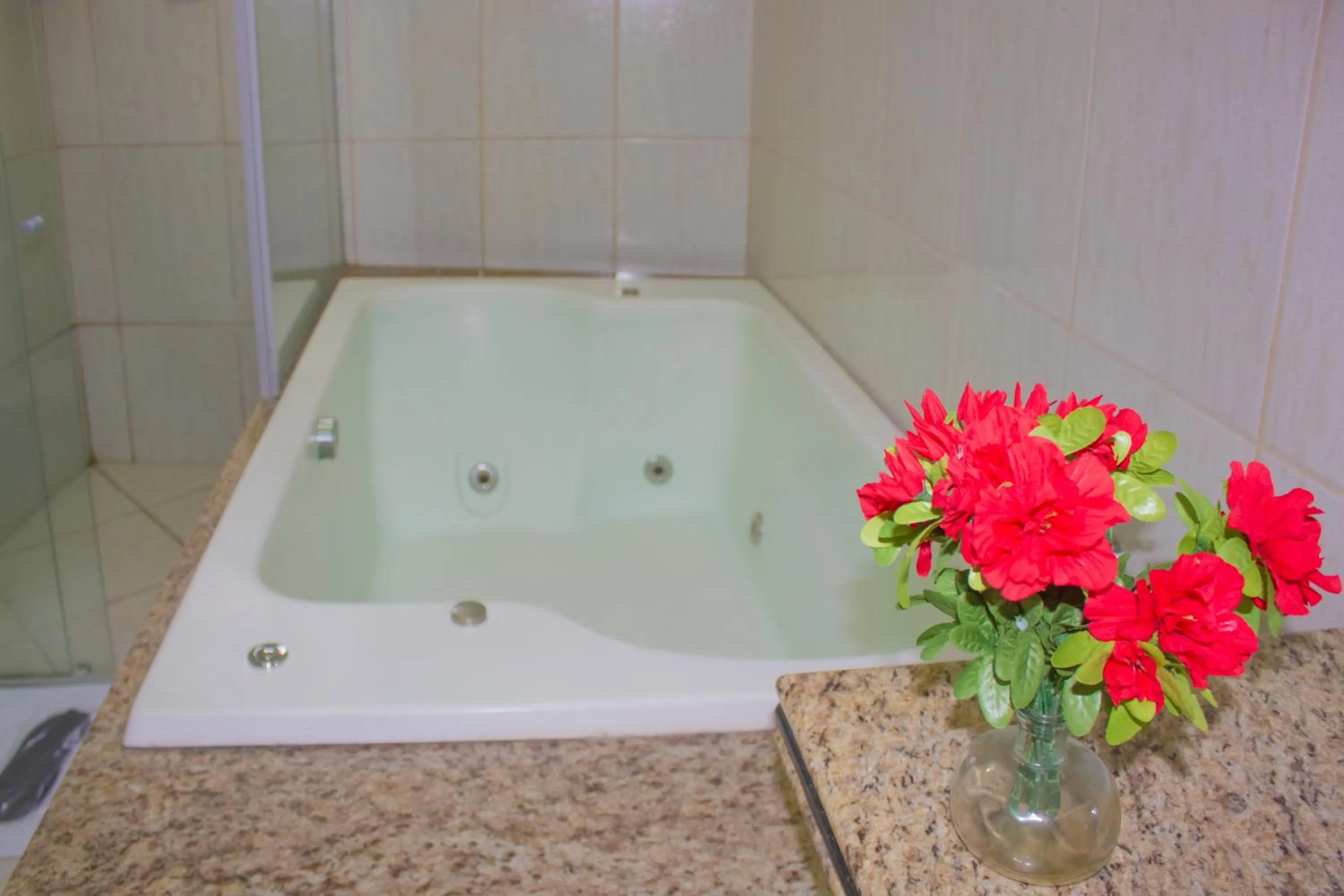 Hot Tub in Hotel Meri