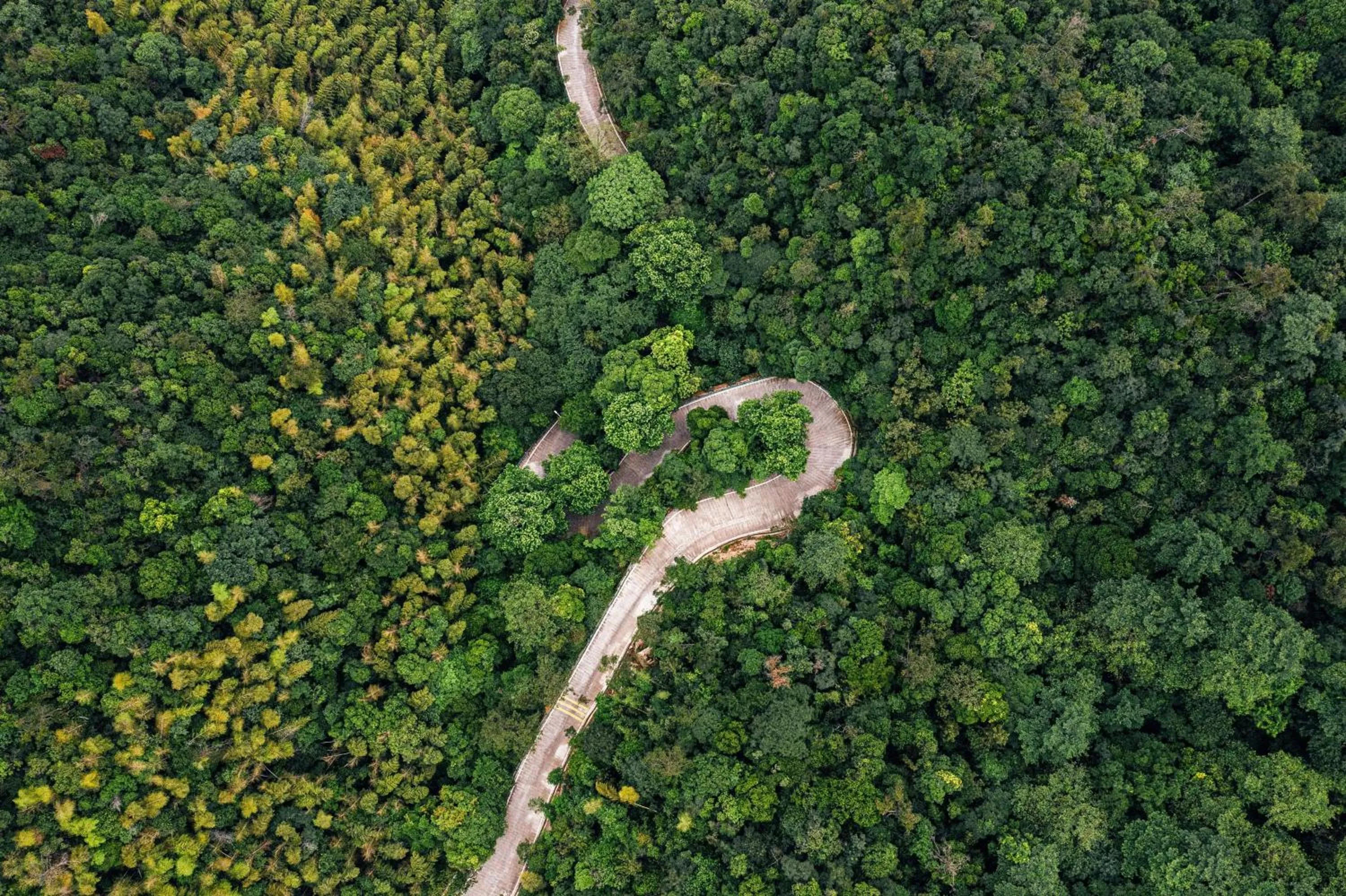 Hiking in Hyatt Place Deqing