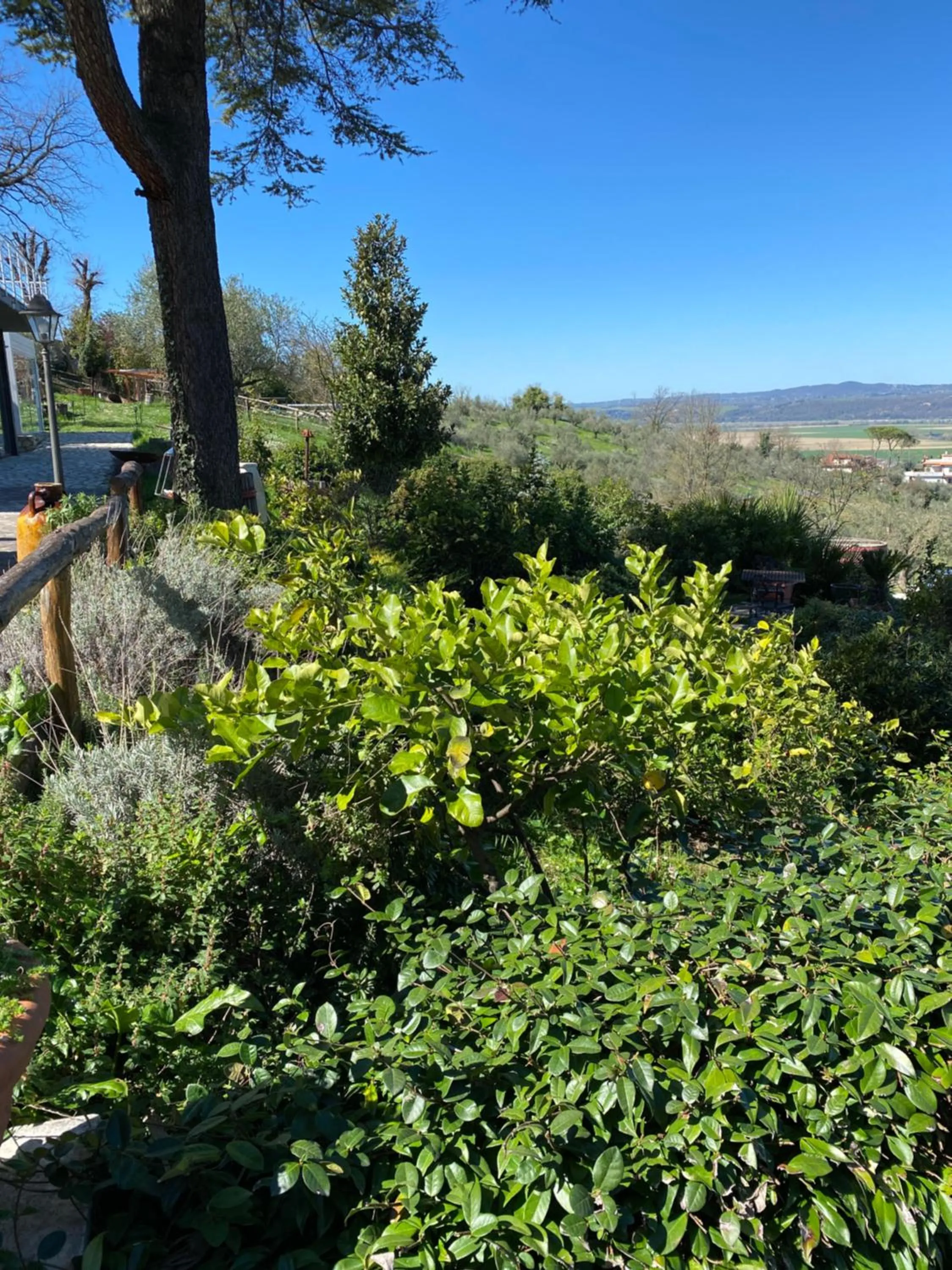 Garden view in Tenuta Lisetta