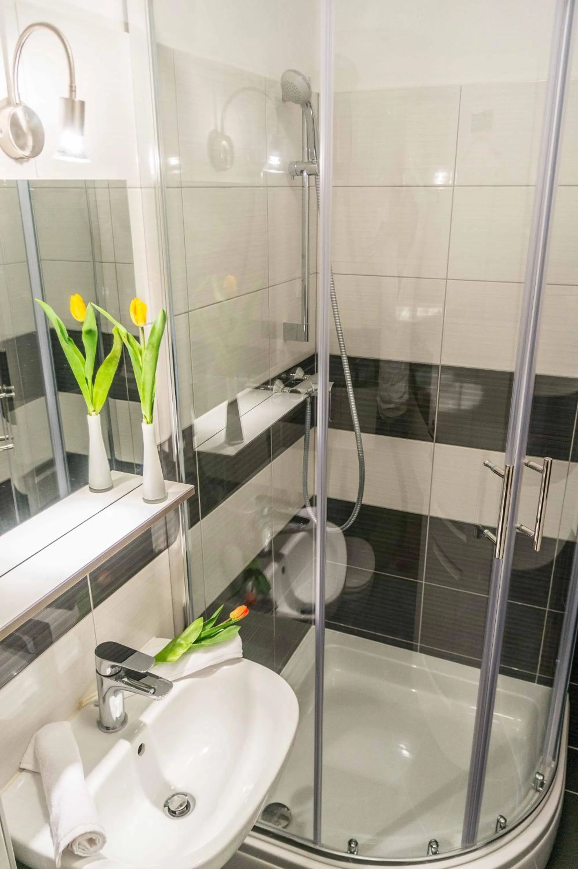 Shower in Split Allure Apartments