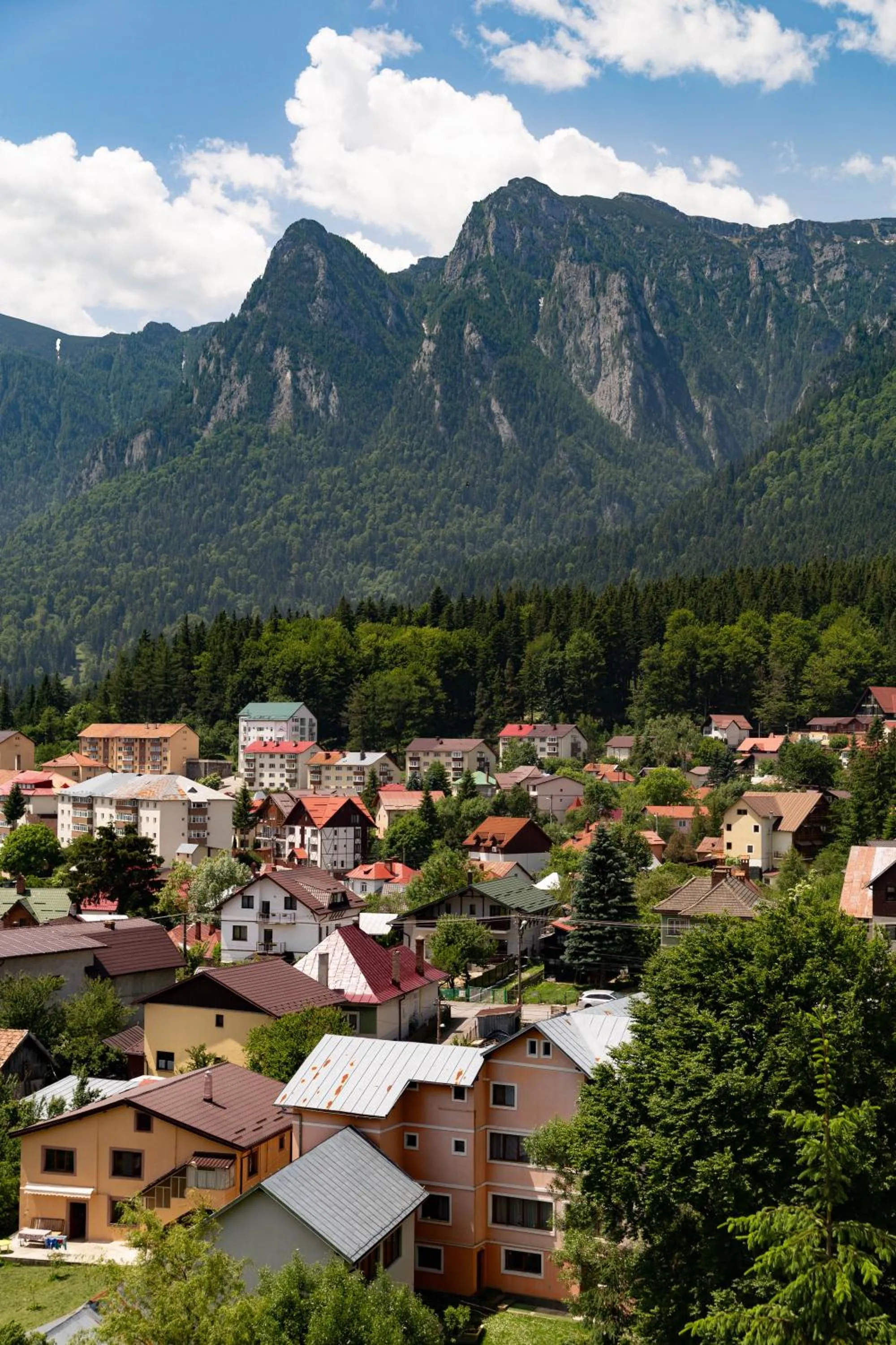 Property building in Kayus