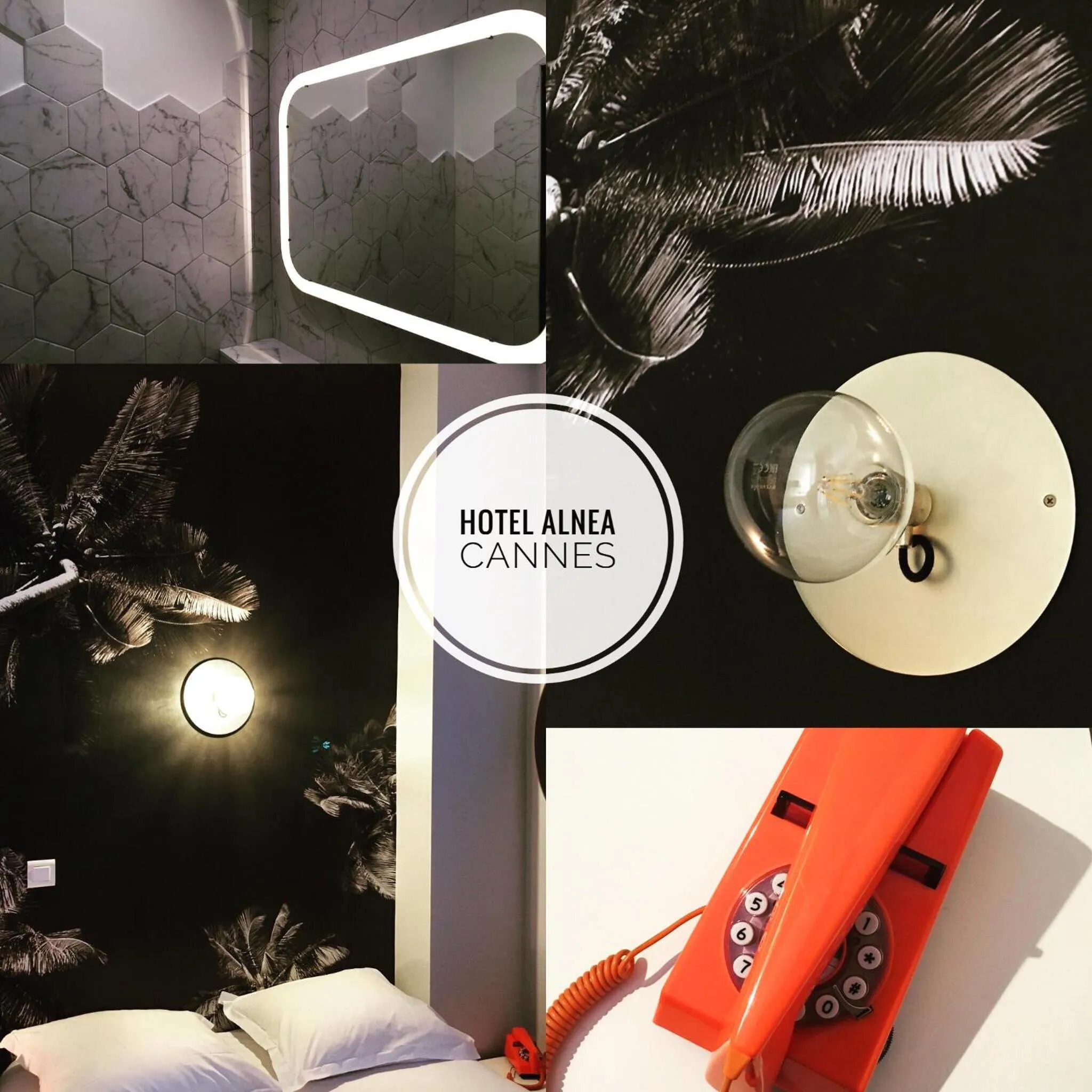 Photo of the whole room in Hotel Alnea