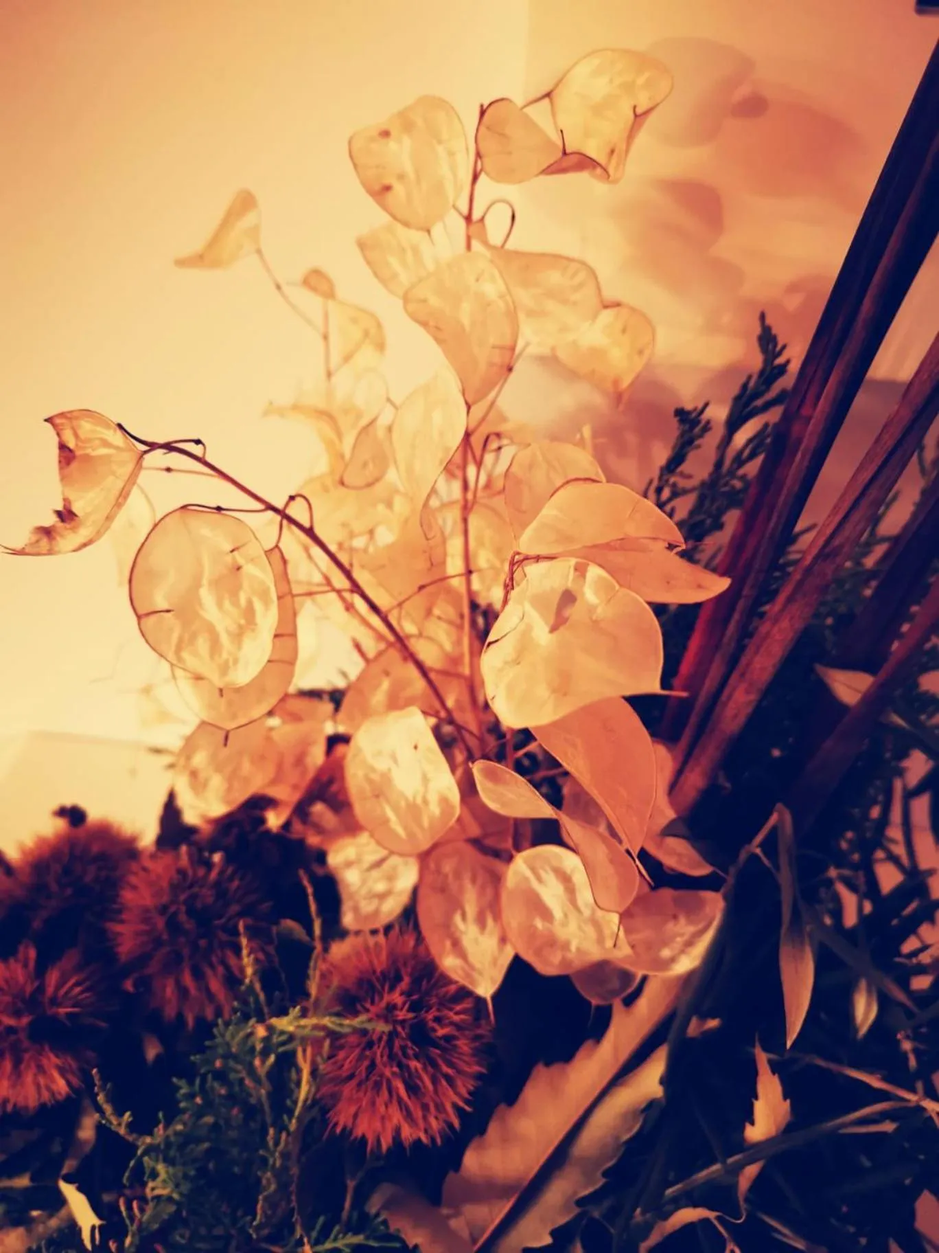 Decorative detail in Casa do Castelo