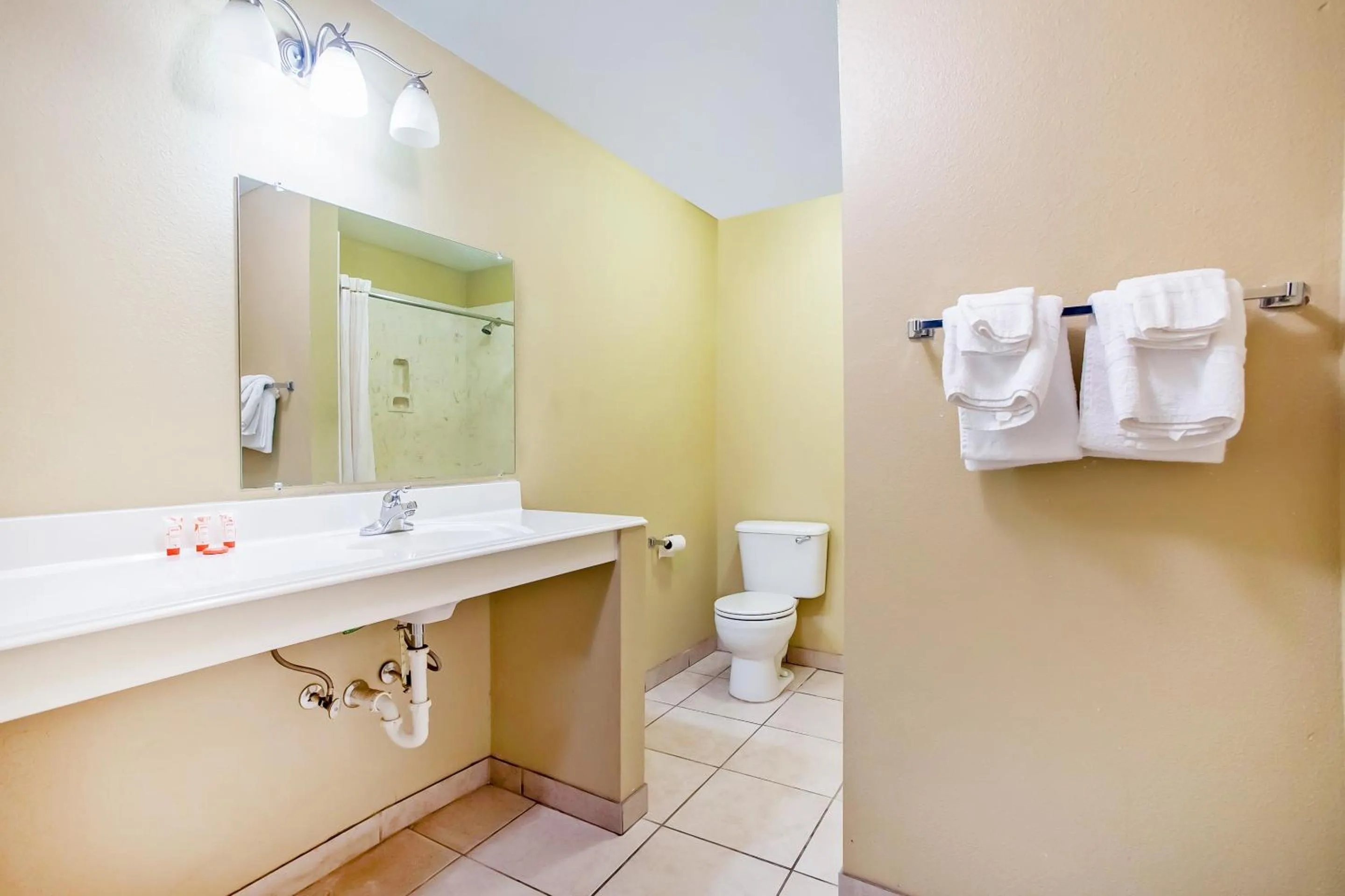Bathroom in Rodeway Inn