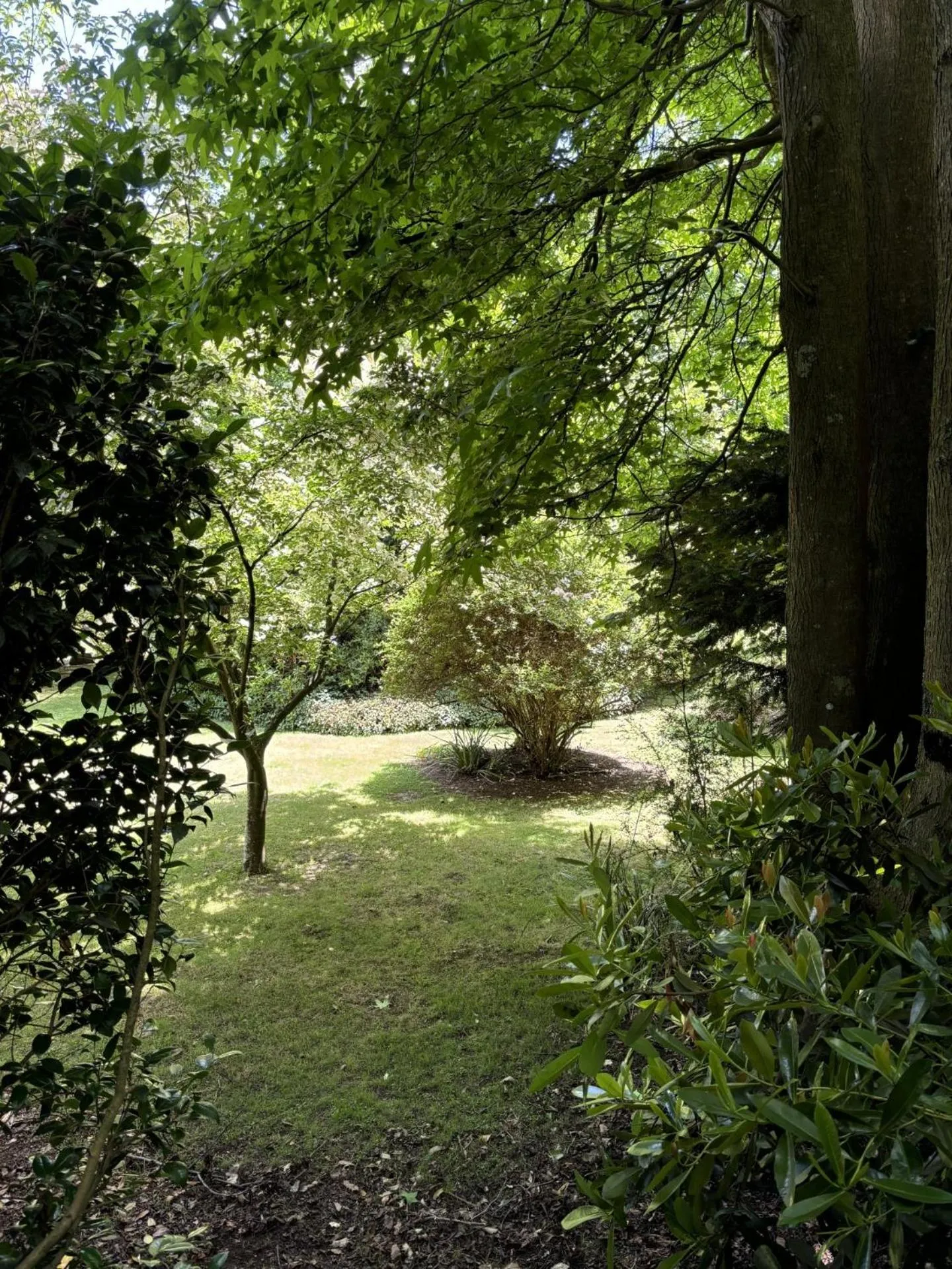 Garden view in Arcadia Cottages