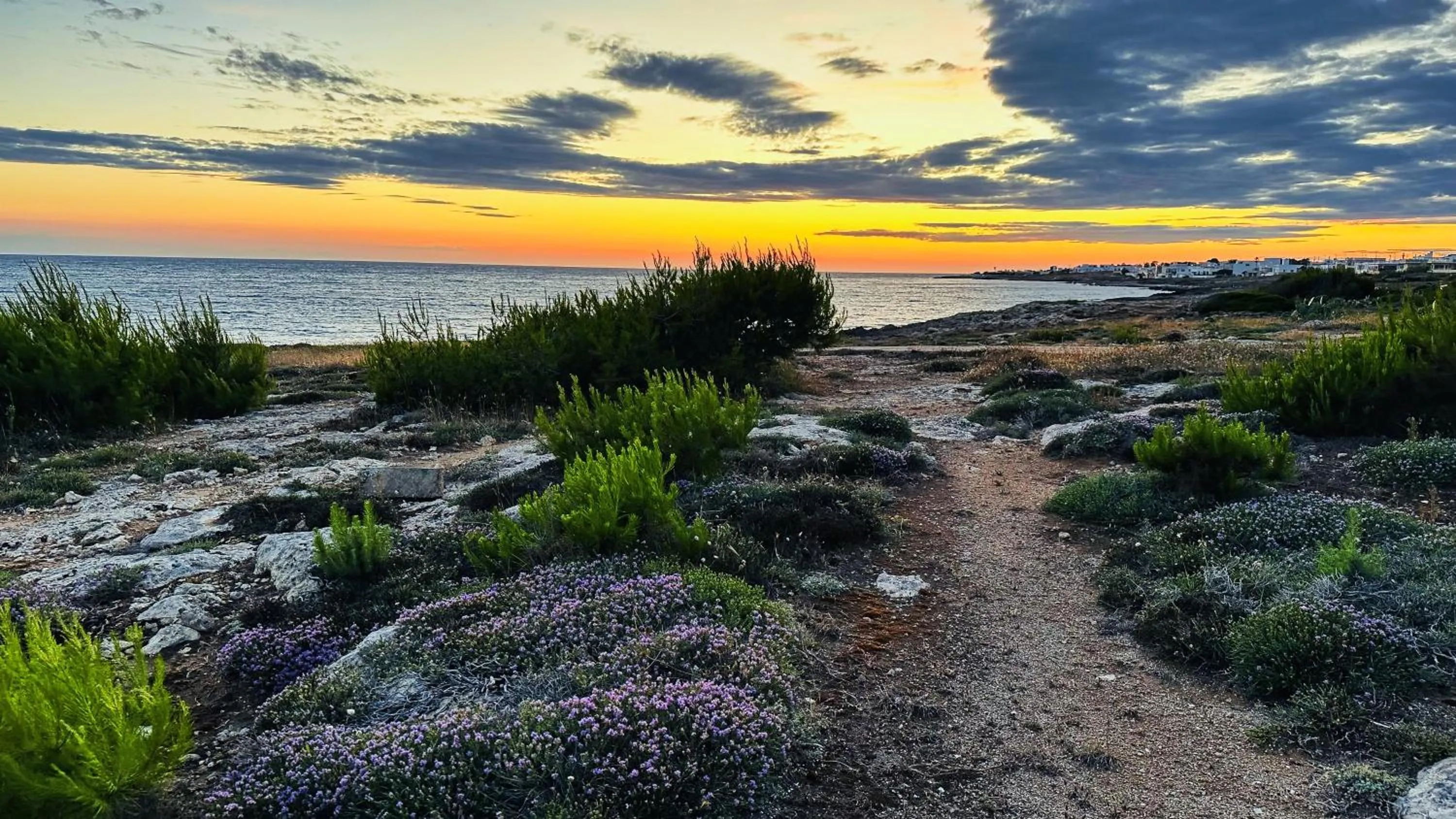 Sea view in Sunset Bay