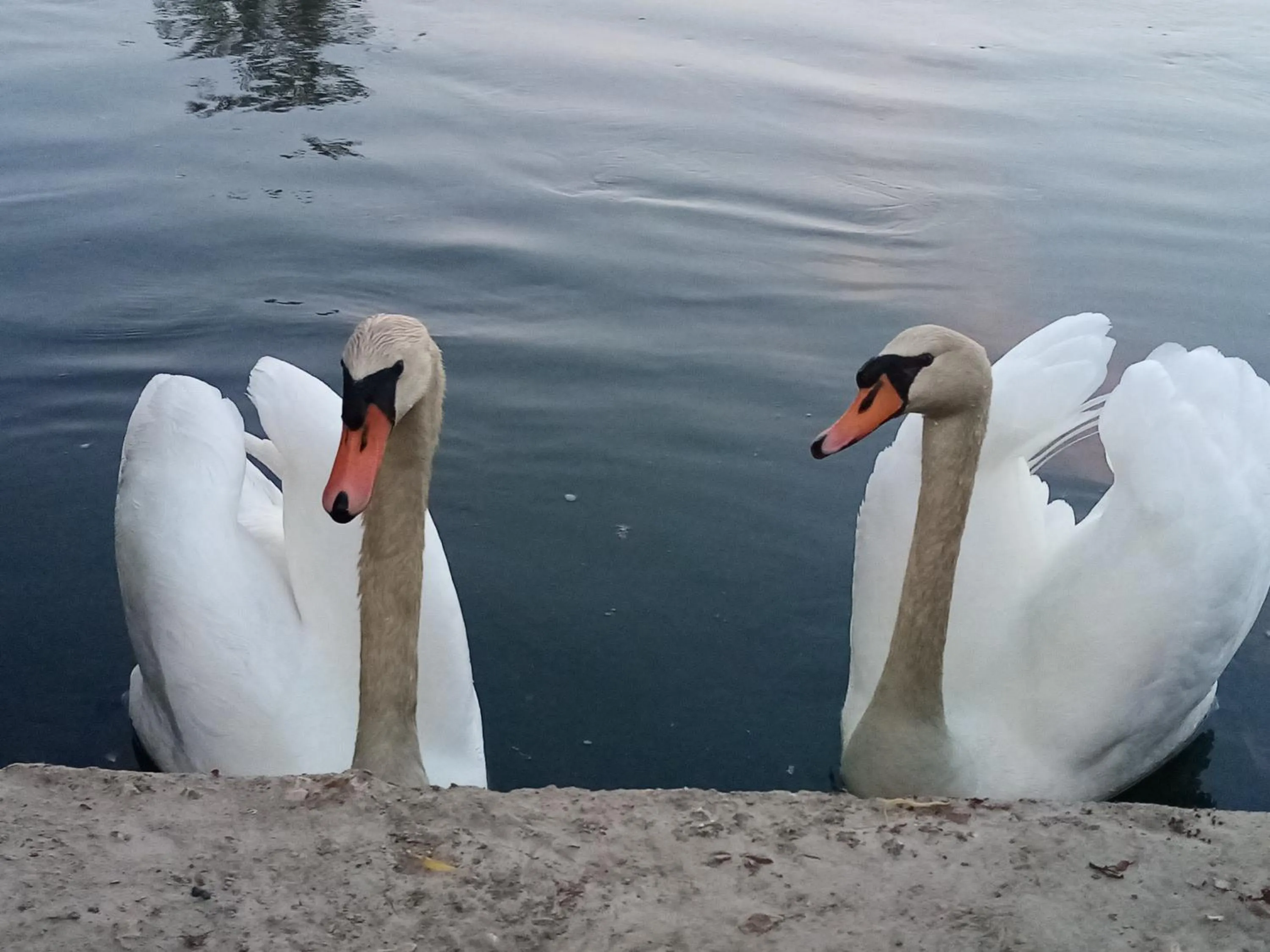 LES TONNEAUX DE L'EURE LOGEMENT INSOLITE