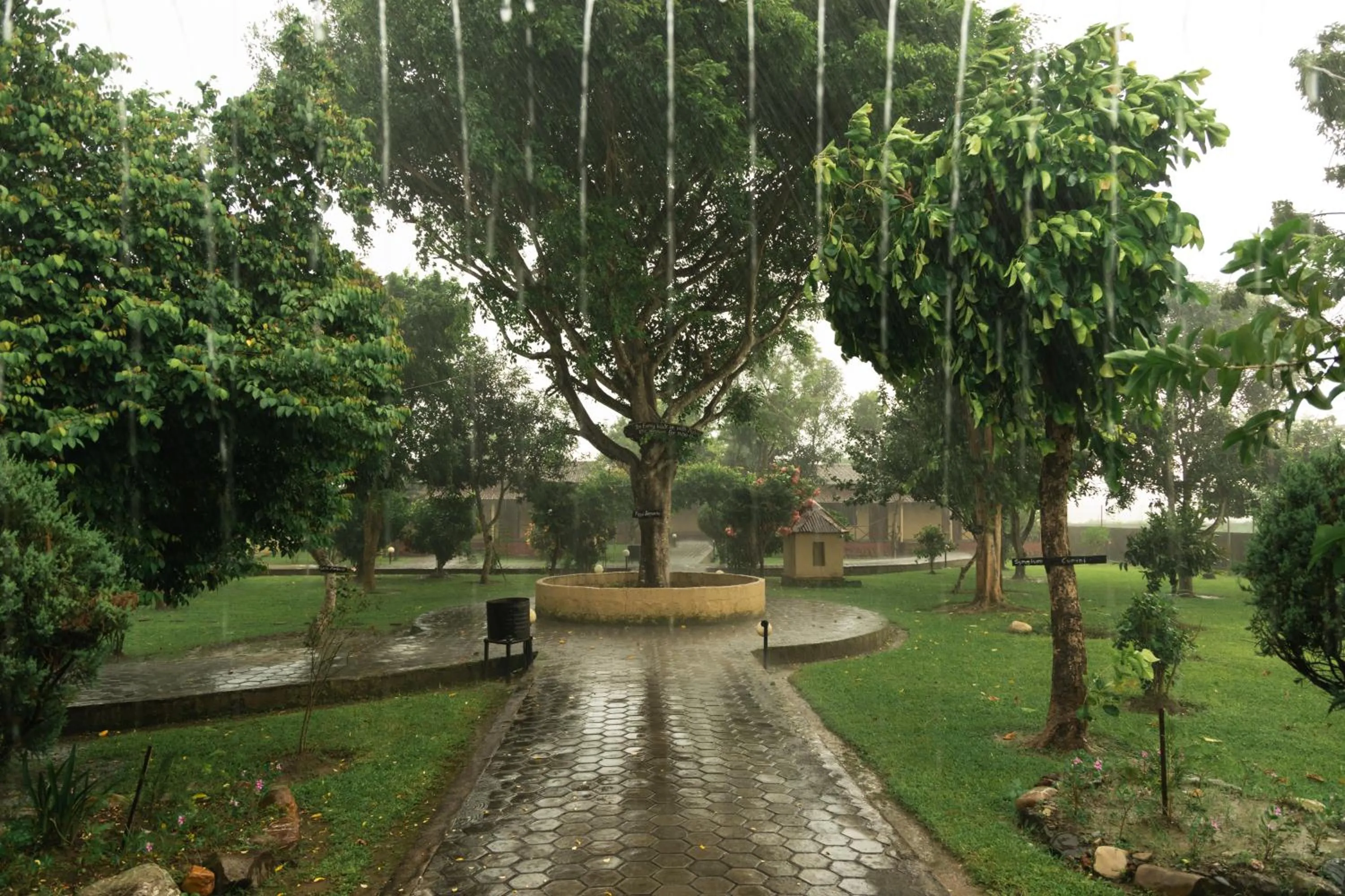 Facade/entrance in Wild Adventure Resort - Sunset Point