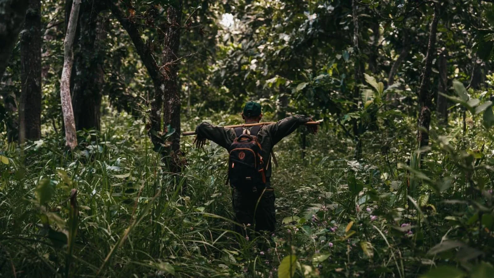 Activities in Wild Adventure Resort - Sunset Point