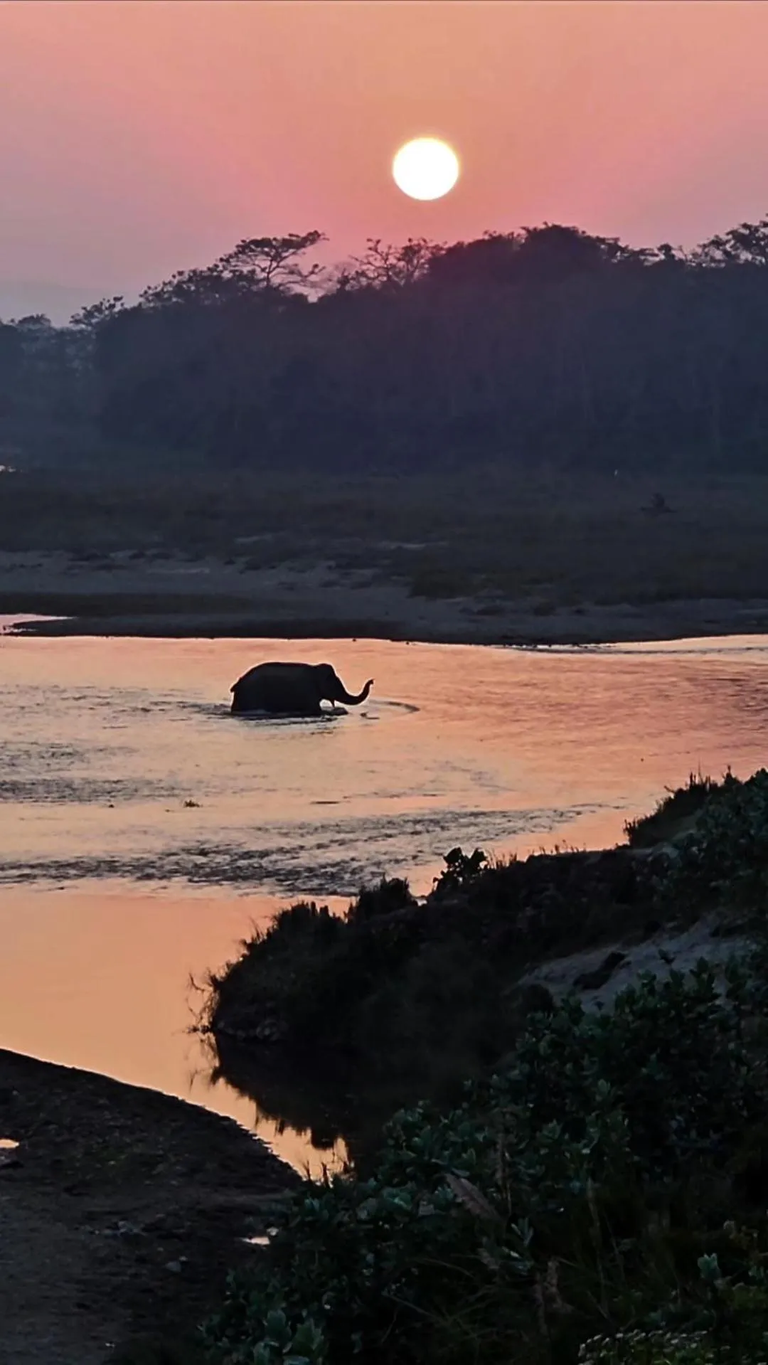 View (from property/room) in Wild Adventure Resort - Sunset Point