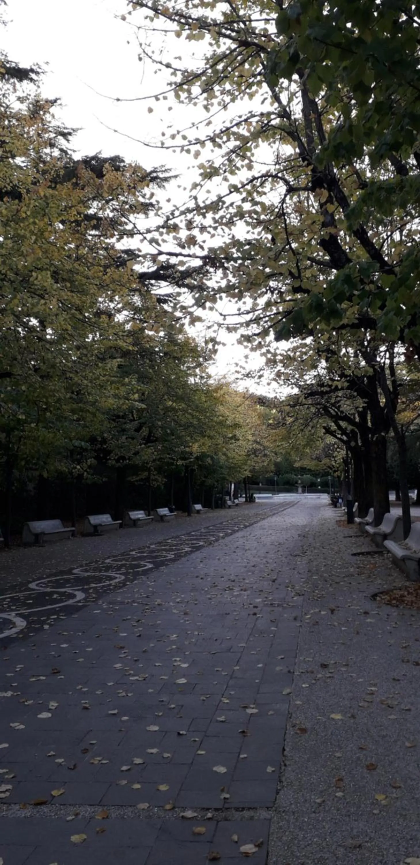 Entertainment in B&B Abruzzo Mare e Monti