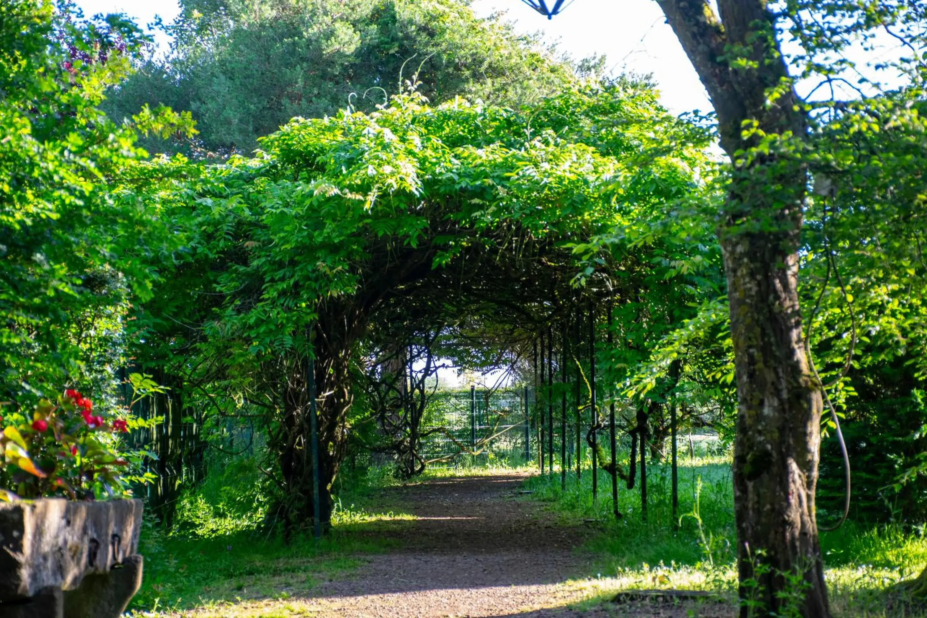 Triple Room with Pool View in Le relais fleuri, Hôtel et restaurant Logis - Avallon Triple Room with Pool View in Le relais fleuri, Hôtel et restaurant Logis - Avallon