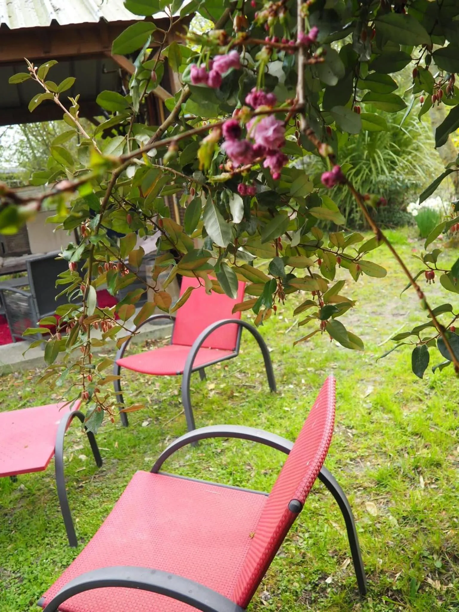 Garden in Chambres d'Hôtes Fleur de Sel