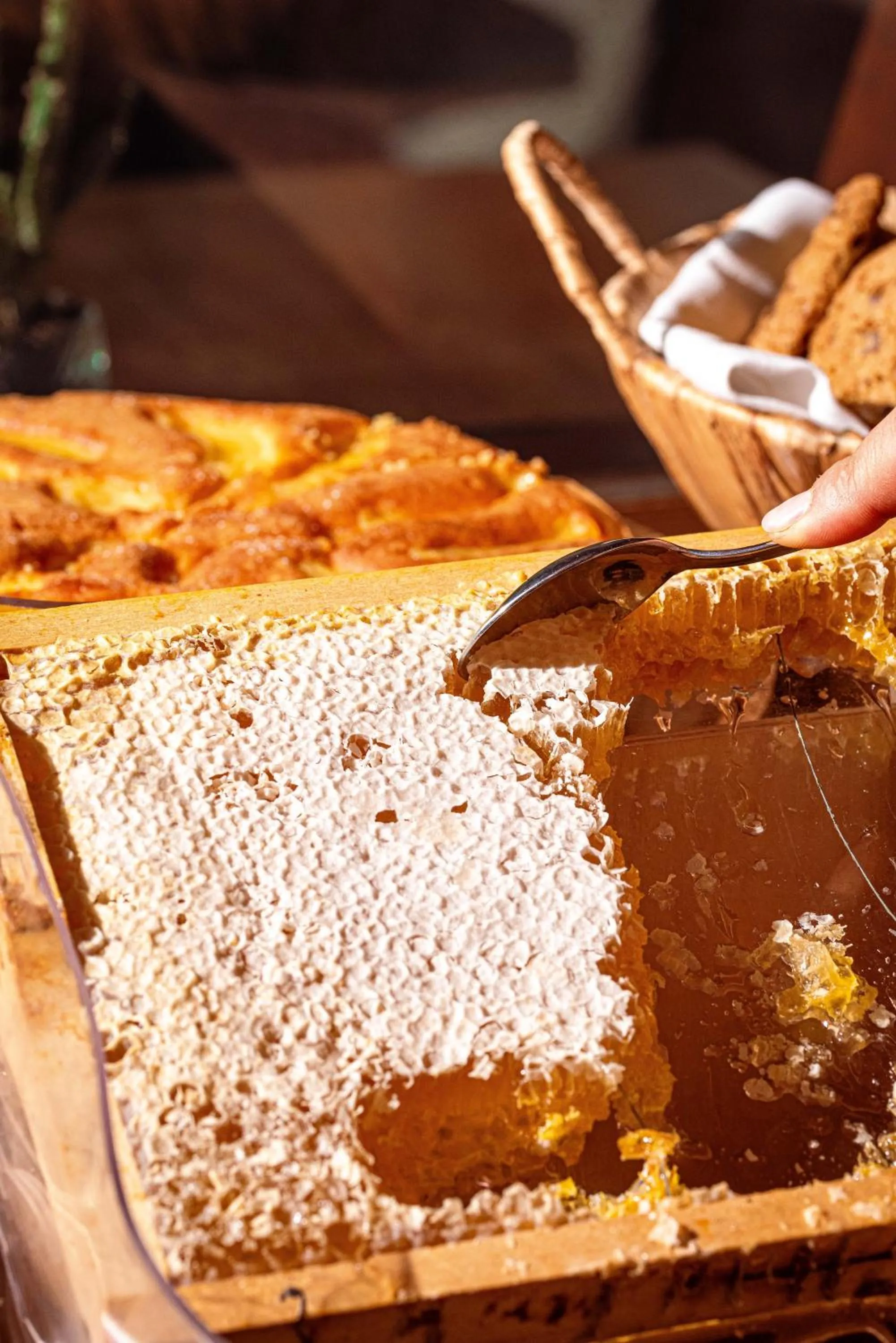 Agriturismo La Cerra