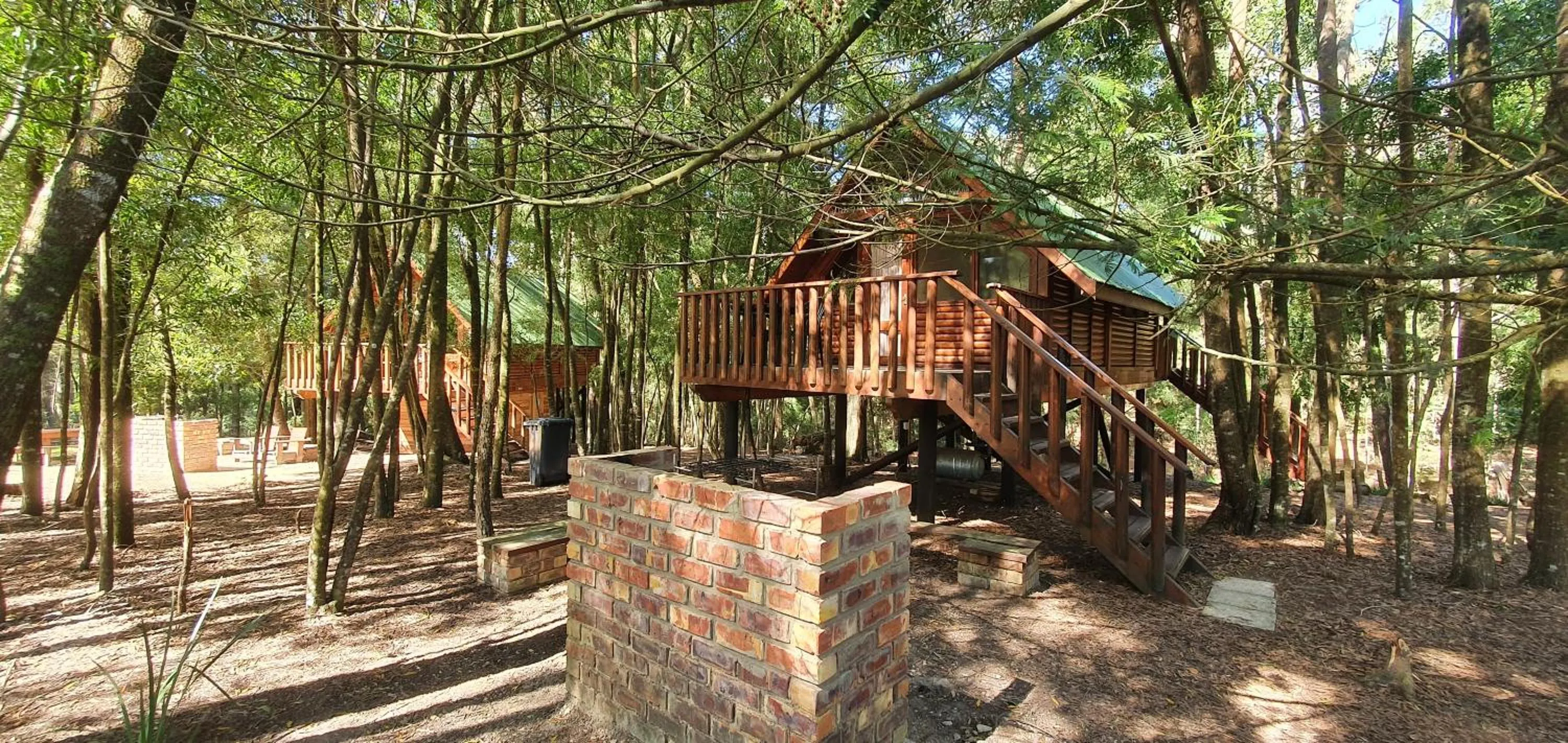 Plett Forest Cabins