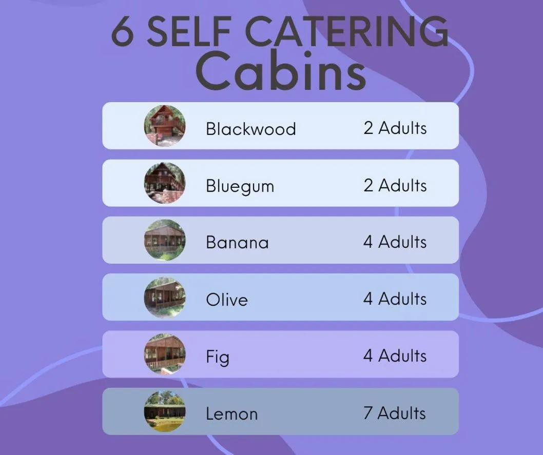 Property building in Plett Forest Cabins