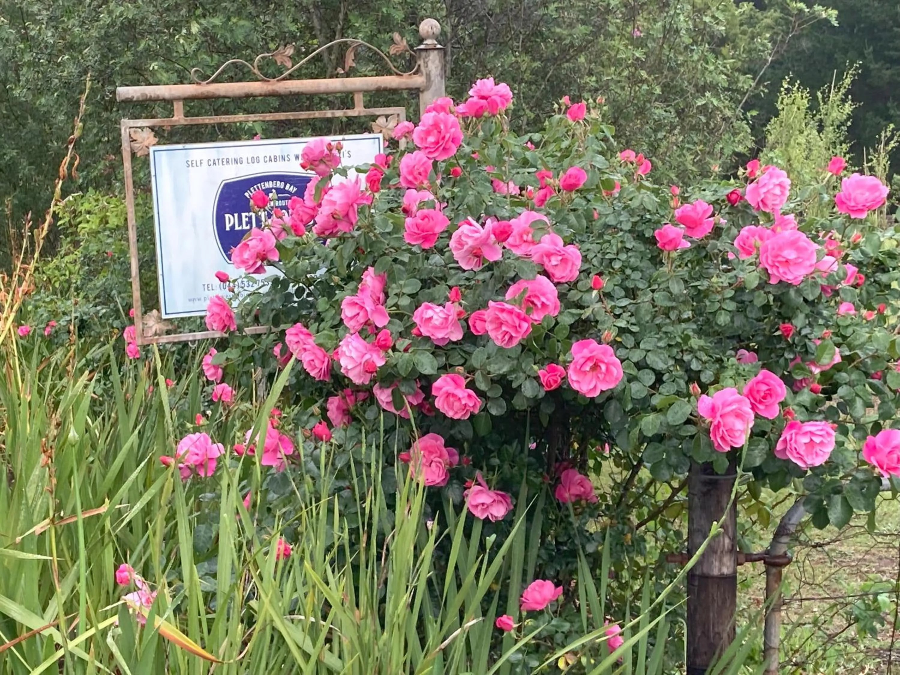 Facade/entrance in Plett Forest Cabins
