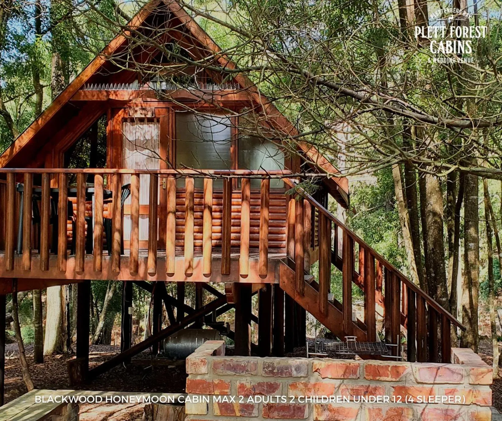 Property building in Plett Forest Cabins