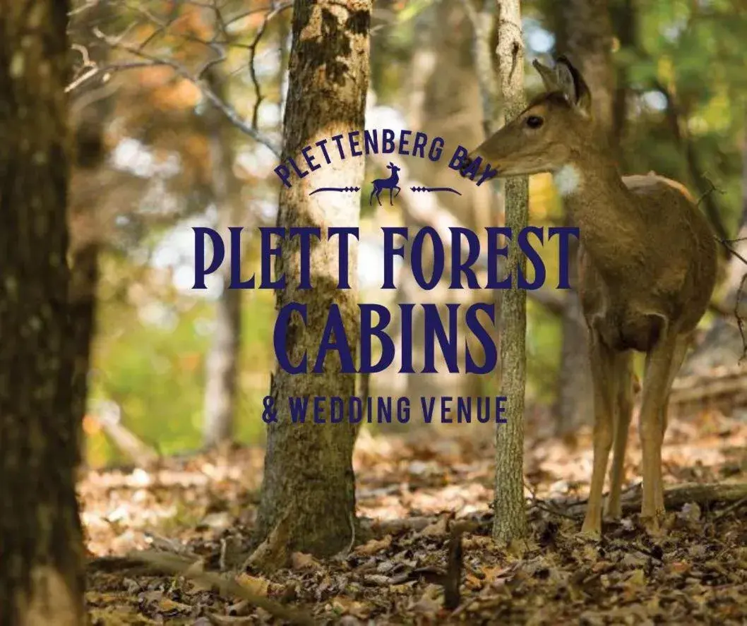 Plett Forest Cabins Plett Forest Cabins