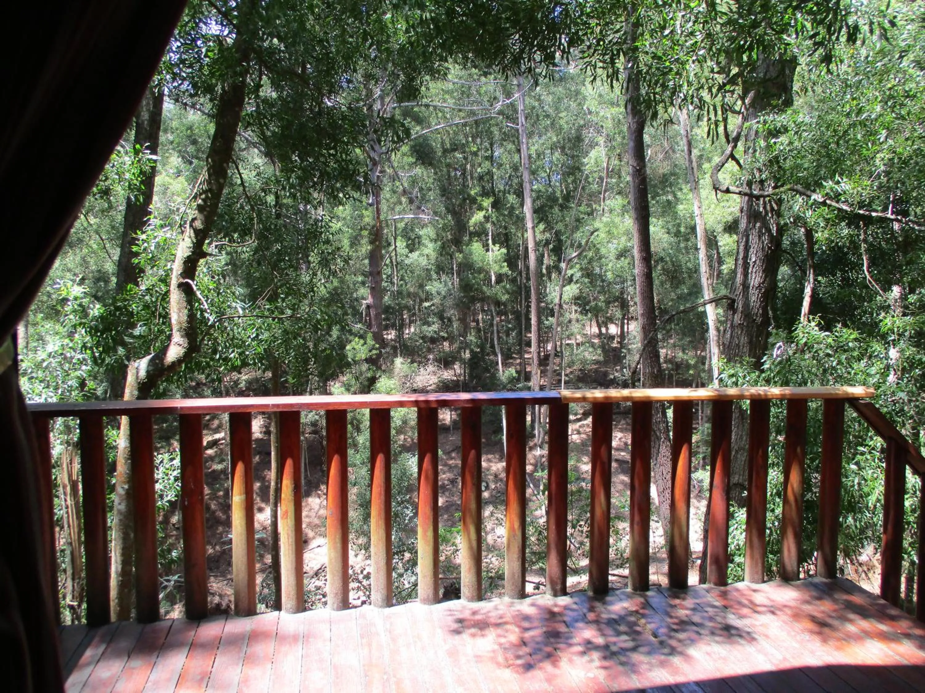 Plett Forest Cabins