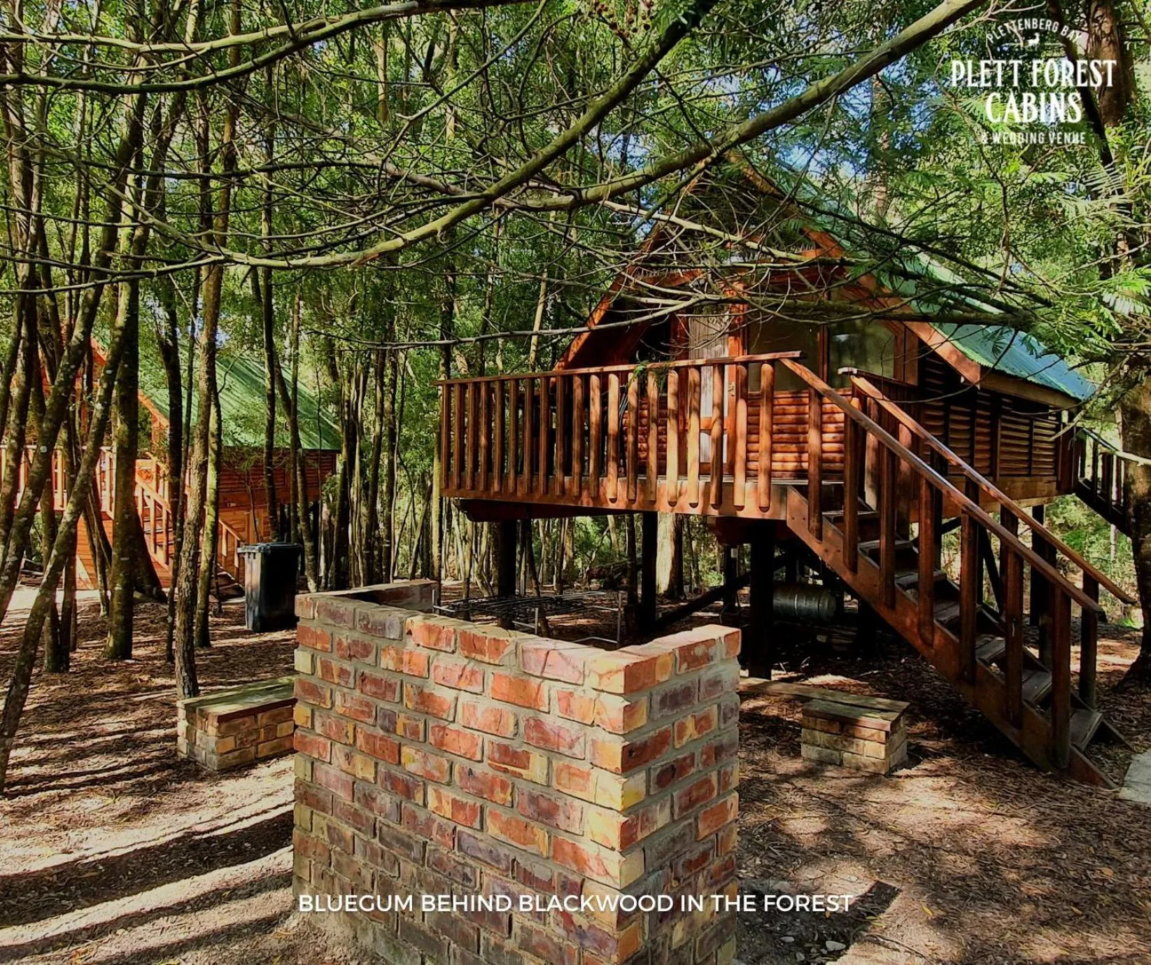 Property building in Plett Forest Cabins
