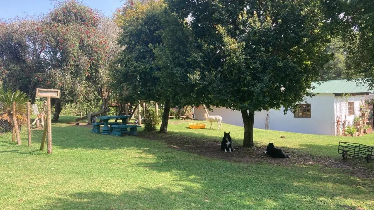 Children play ground in Plett Forest Cabins