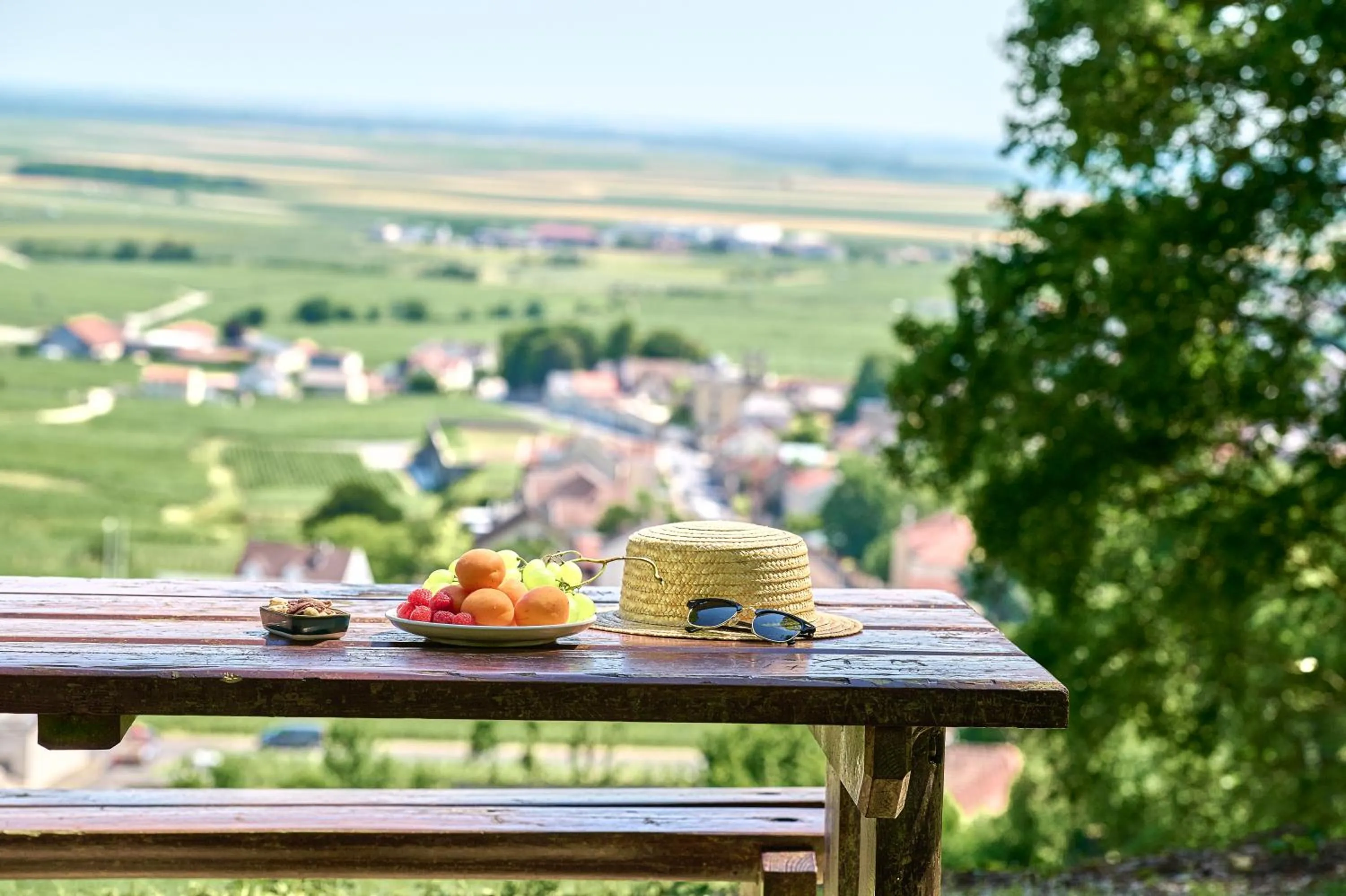 Hiking in Best Western Le Relais du Vigneron