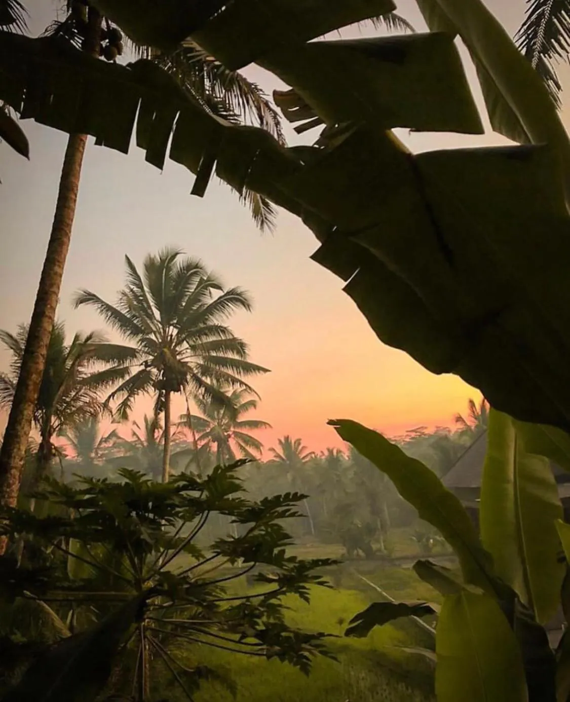 Natural landscape in Puri Kasih Gottlieb