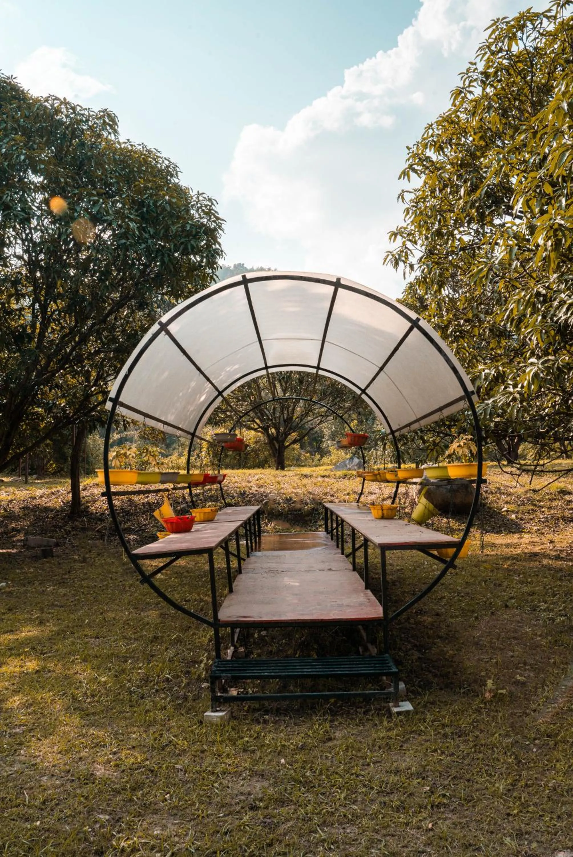 Natural landscape in The Sylvan Retreat