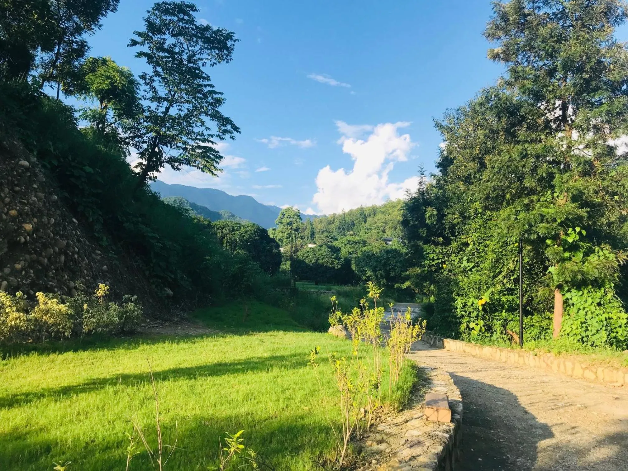 Day in The Sylvan Retreat