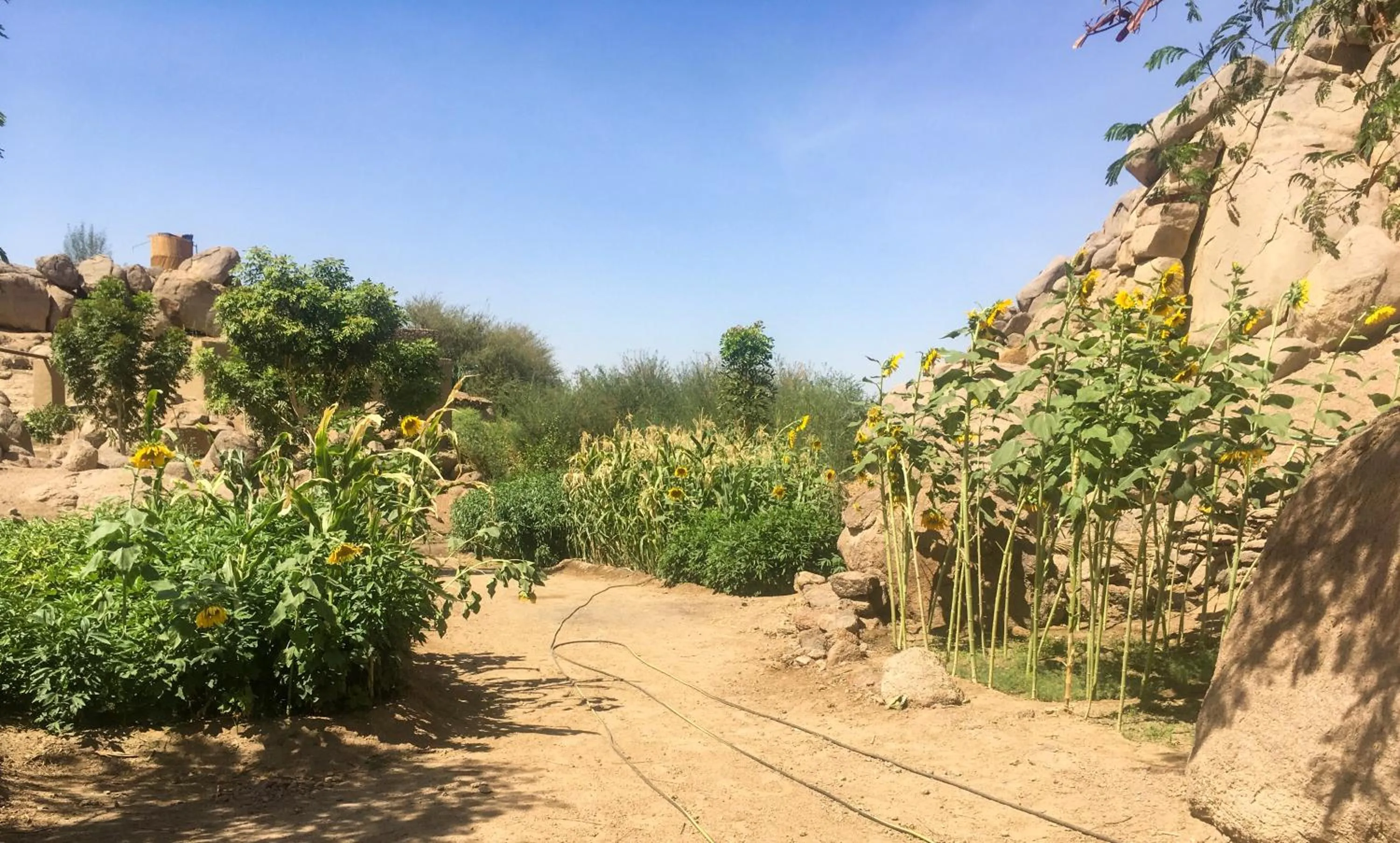 Garden in Eco Nubia